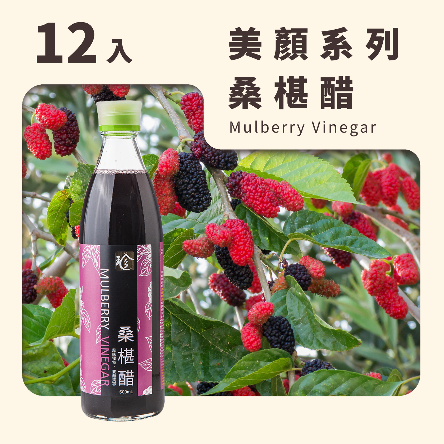 桑椹醋(12入/箱)