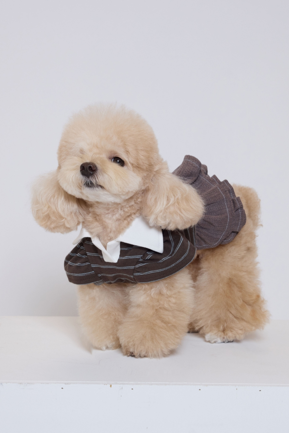 COZY-N 多層次蛋糕吊帶裙_秋冬磚