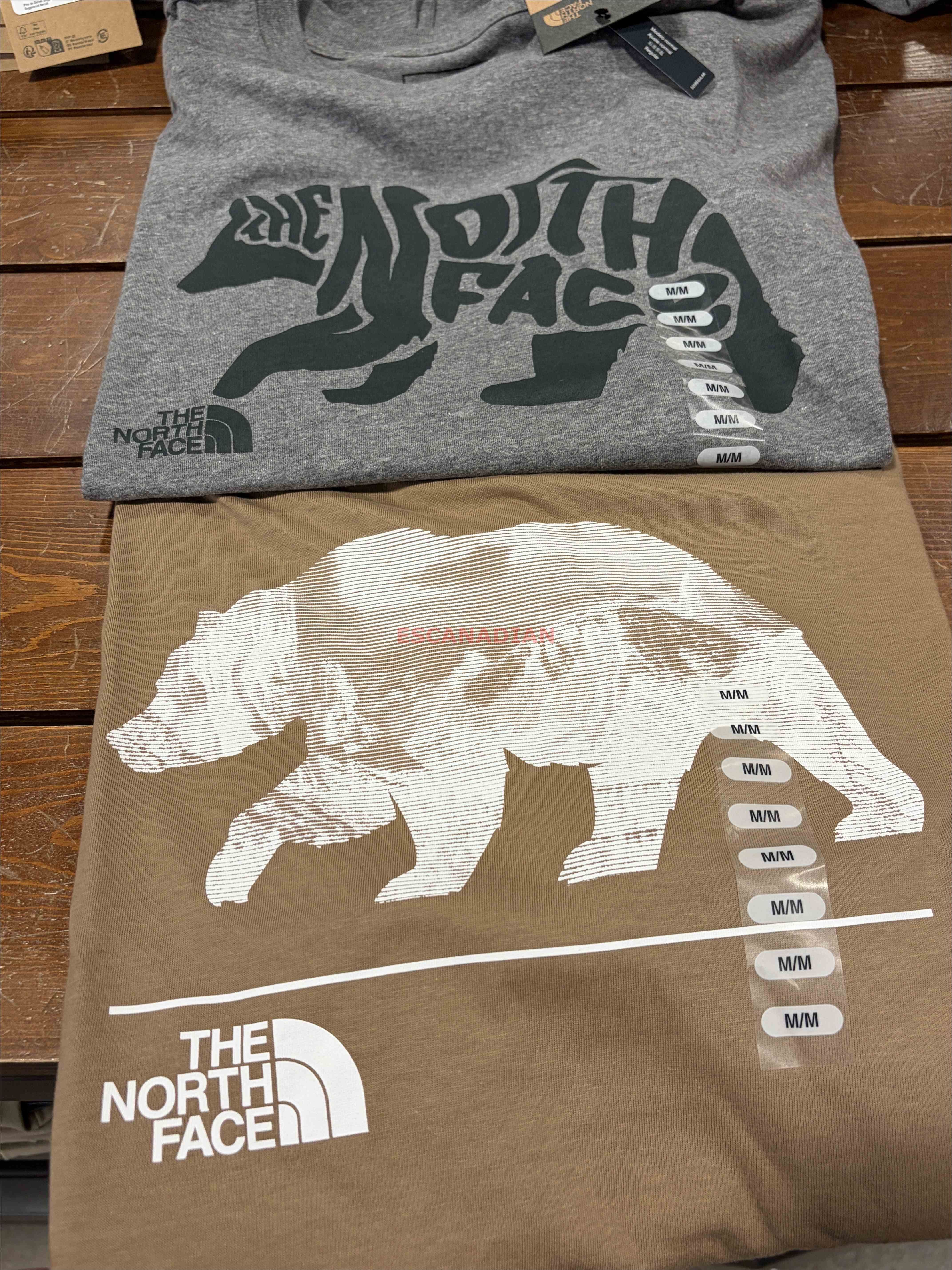 THE NORTH FACE 男大人 熊圖案 短TEE (2色)