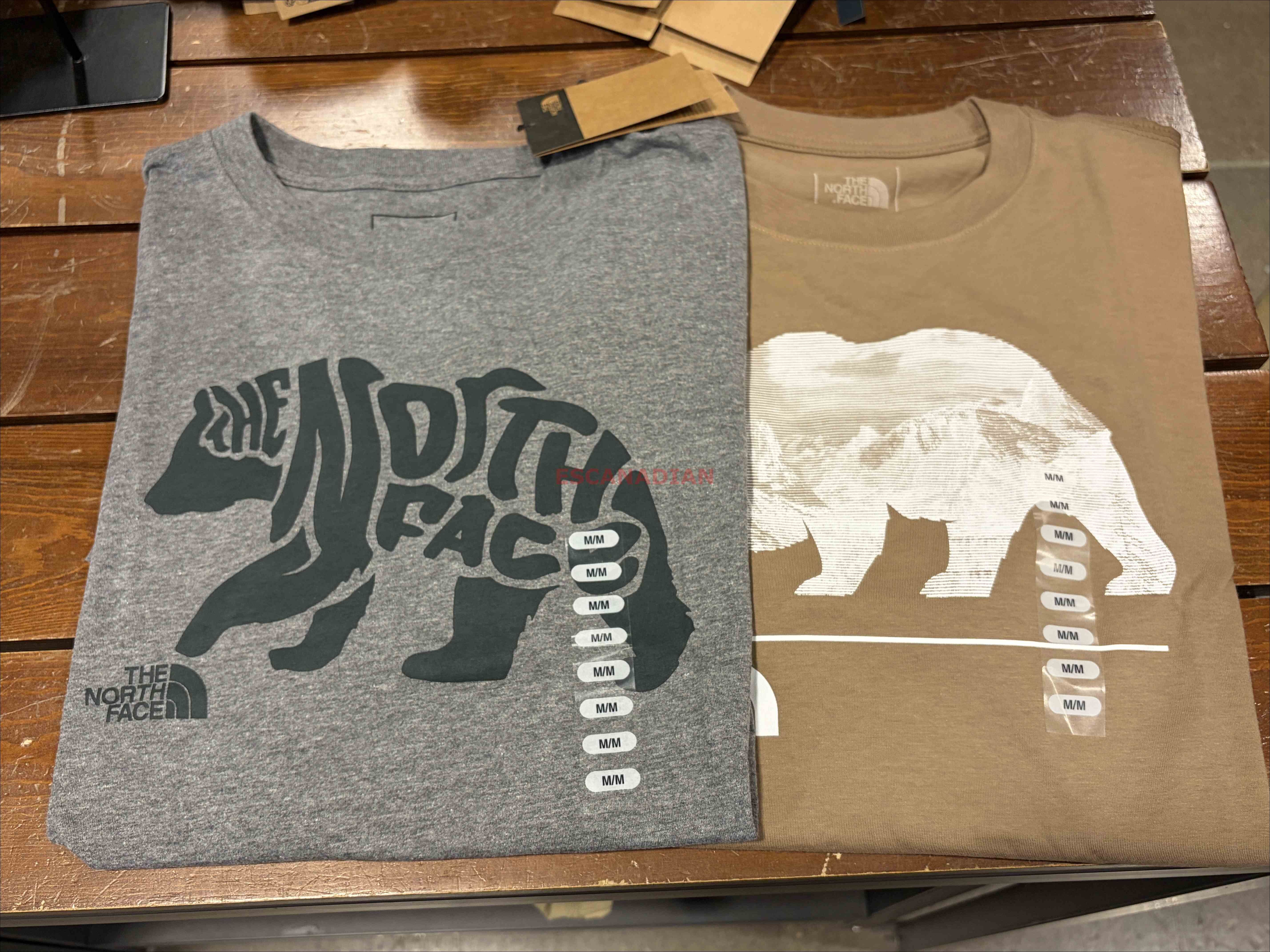 THE NORTH FACE 男大人 熊圖案 短TEE (2色)