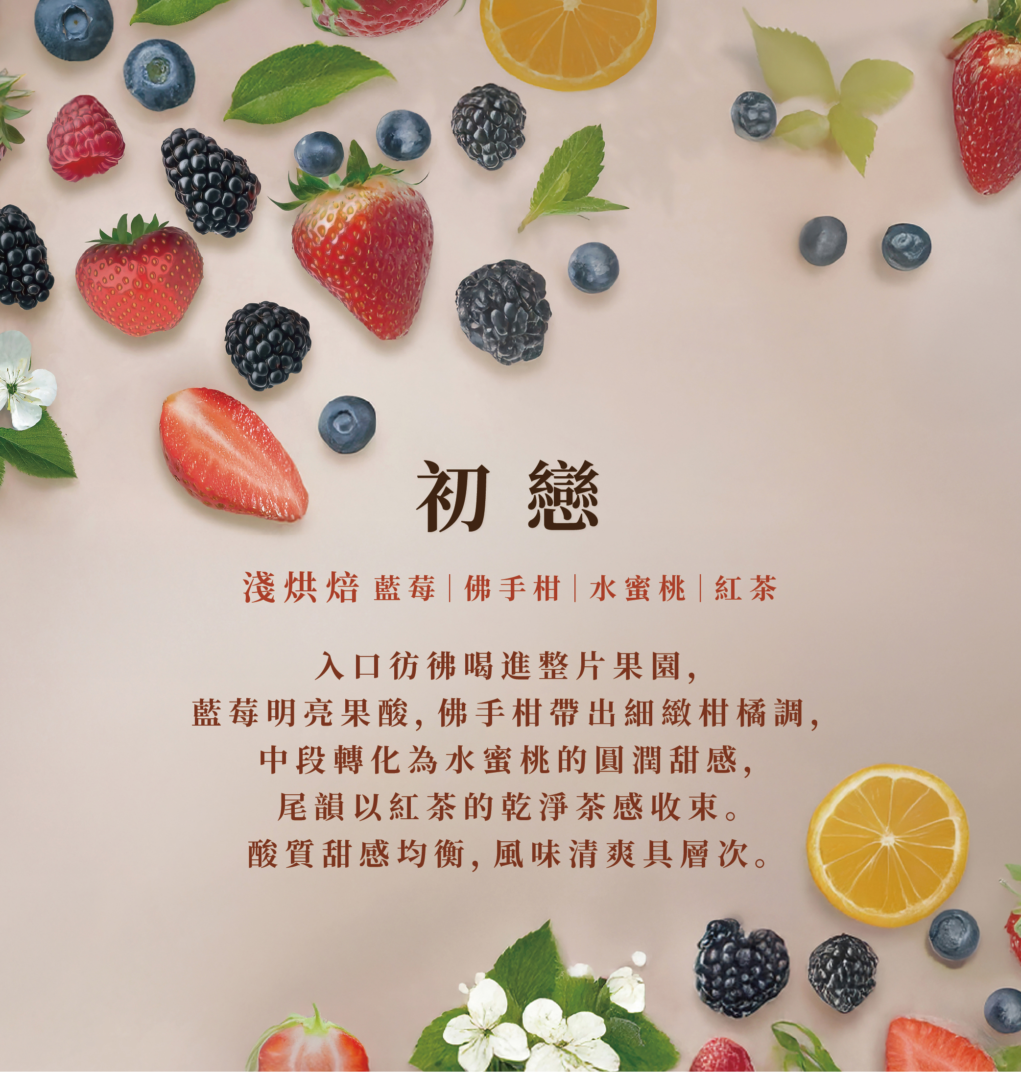 衣索比亞 耶加雪菲 初戀 日曬 咖啡豆｜淺焙・世界咖啡雙金牌｜Xinto Coffee