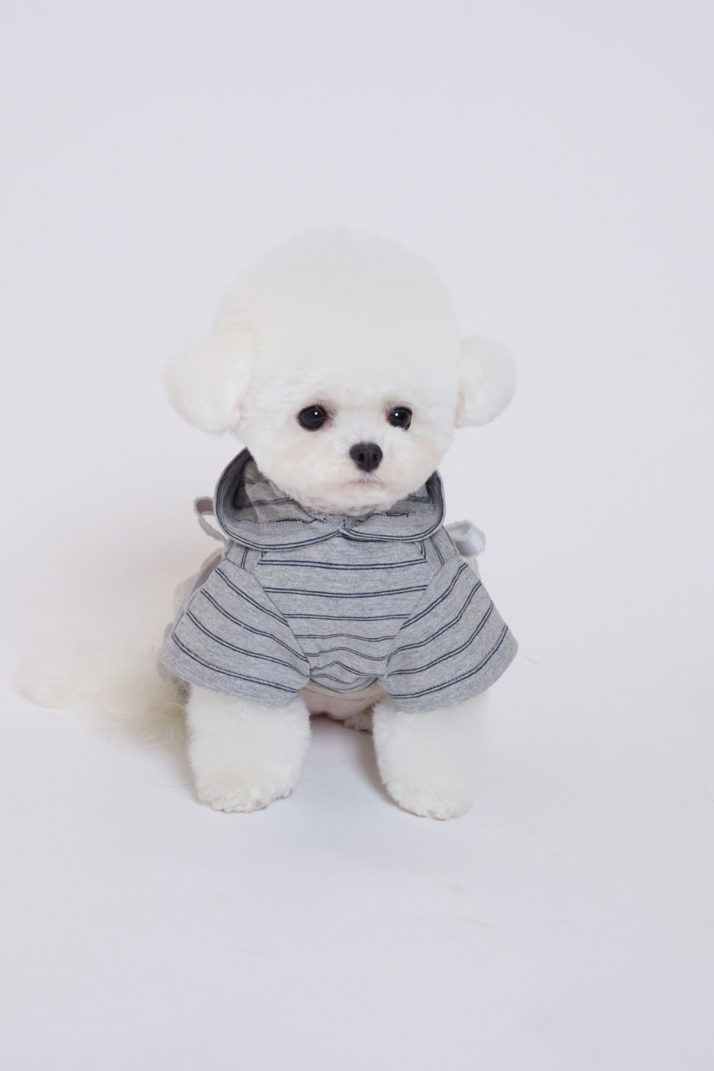 COZY-N 蝴蝶結帽衫剪裁帽衫