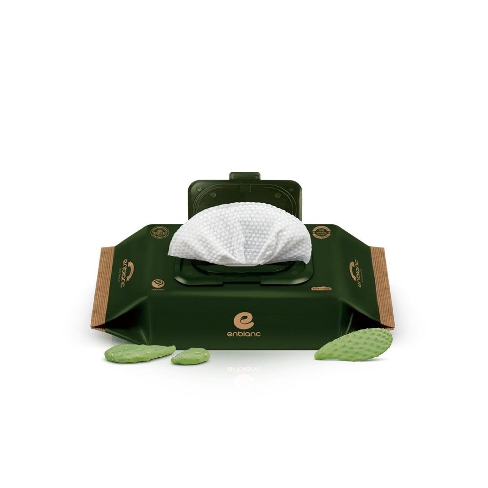 ENBLANC 銀離子抗菌｜極厚仙人掌｜有蓋輕裝純水濕紙巾｜32抽
