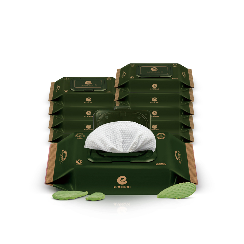 ENBLANC 銀離子抗菌｜極厚仙人掌｜有蓋輕裝純水濕紙巾｜32抽10包