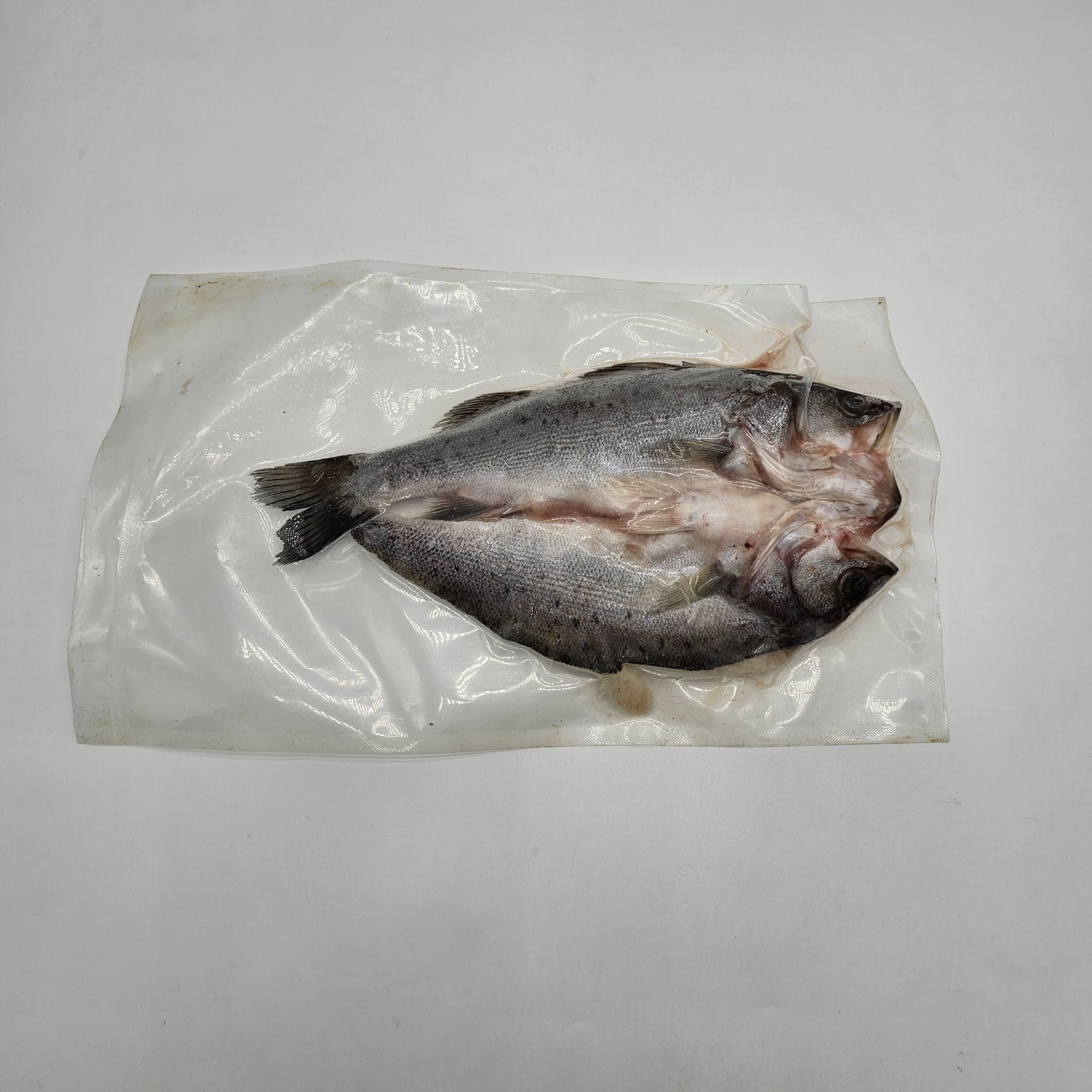 賣魚勝 - (400 開背花鱸) AA+(三去)原條開背海花鱸魚  (去鱗去鰓去內臟)   400-450G  (急凍-18°C)