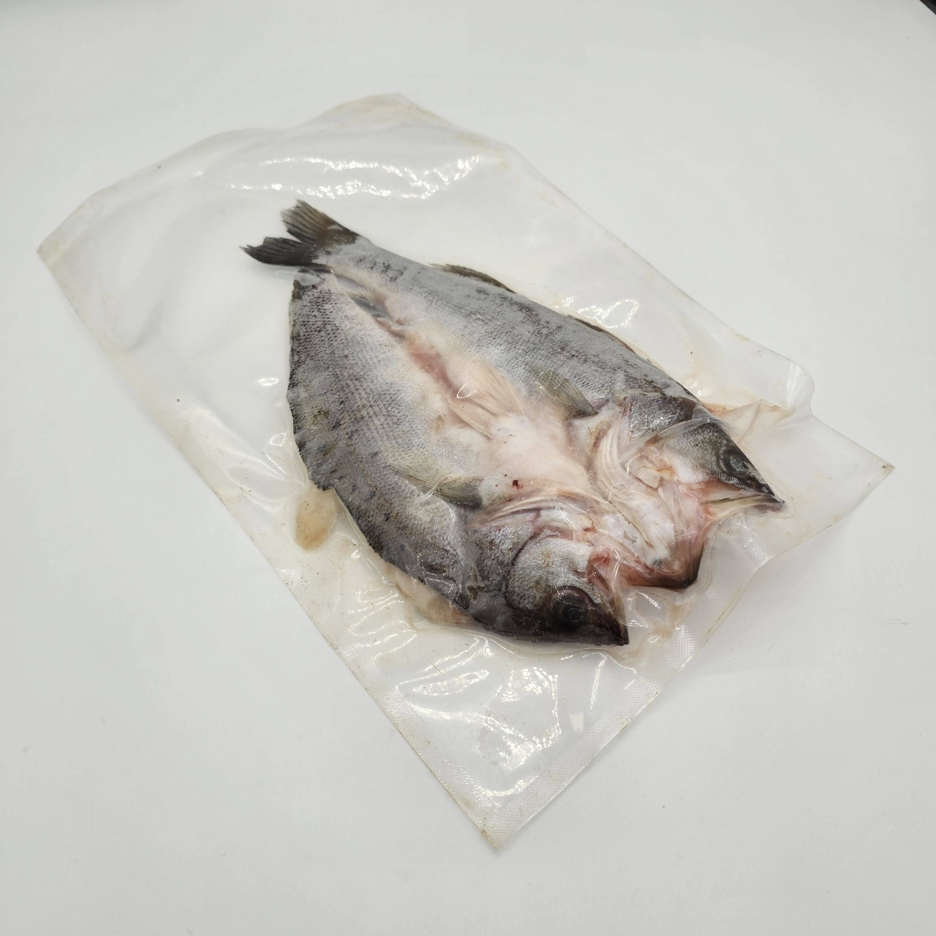 賣魚勝 - (400 開背花鱸) AA+(三去)原條開背海花鱸魚  (去鱗去鰓去內臟)   400-450G  (急凍-18°C)