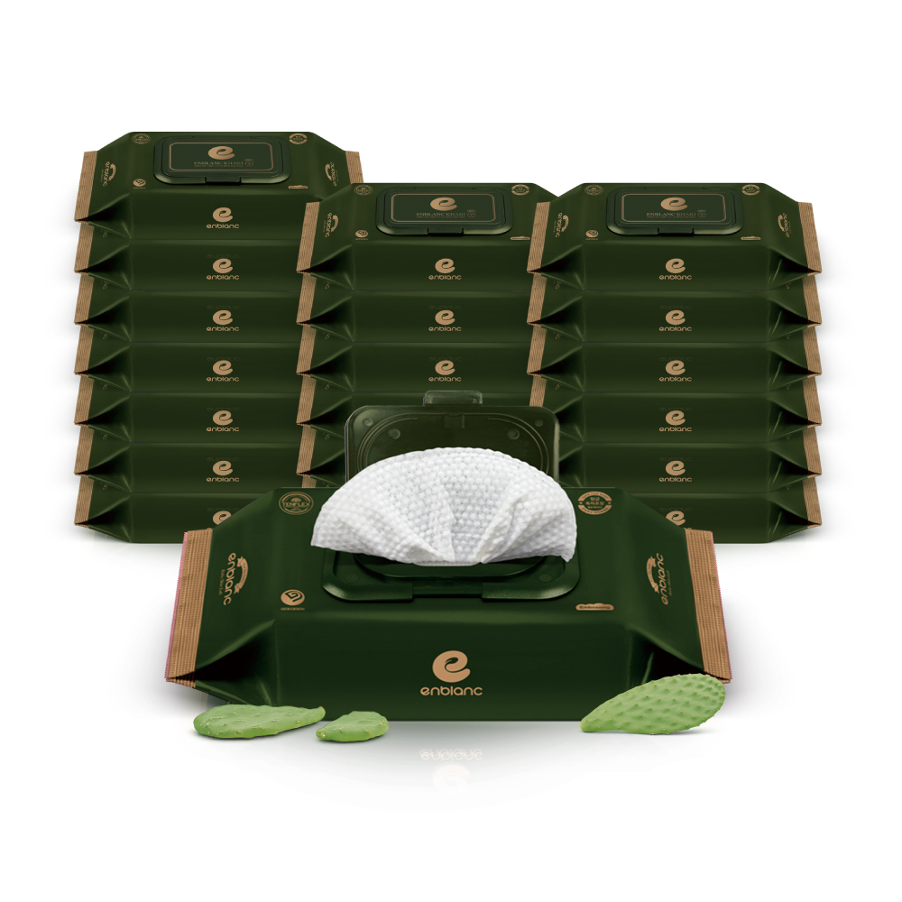 ENBLANC 銀離子抗菌｜極厚仙人掌｜有蓋輕裝純水濕紙巾｜32抽20包