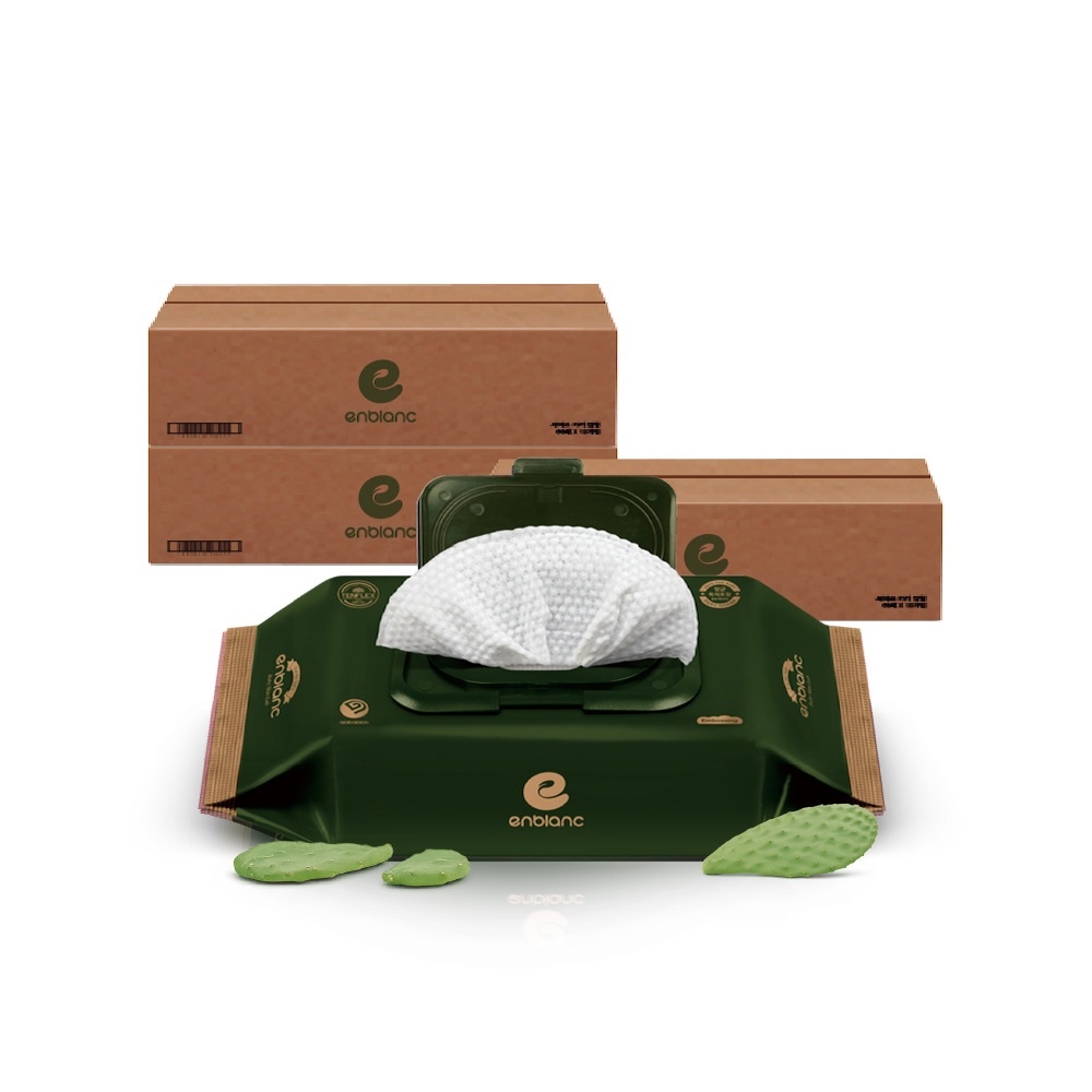 ENBLANC 銀離子抗菌｜極厚仙人掌｜有蓋輕裝純水濕紙巾｜32抽30包