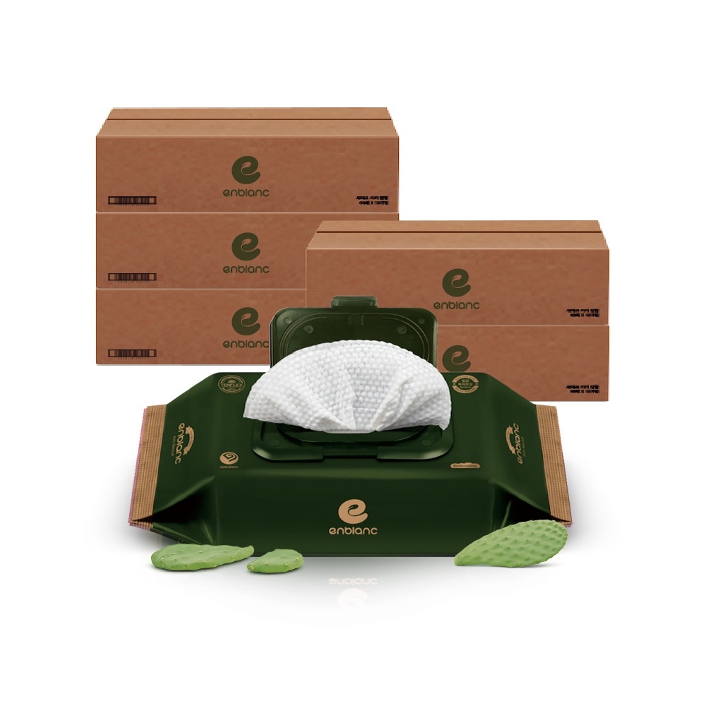 ENBLANC 銀離子抗菌｜極厚仙人掌｜有蓋輕裝純水濕紙巾｜32抽50包