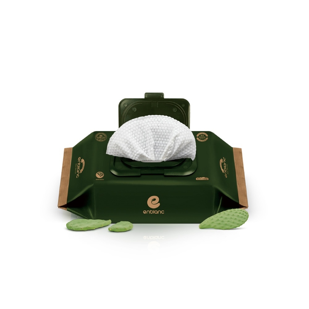 ENBLANC 銀離子抗菌｜極厚仙人掌｜有蓋大包純水濕紙巾｜68抽