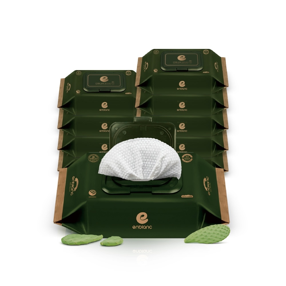 ENBLANC 銀離子抗菌｜極厚仙人掌｜有蓋大包純水濕紙巾｜68抽10包