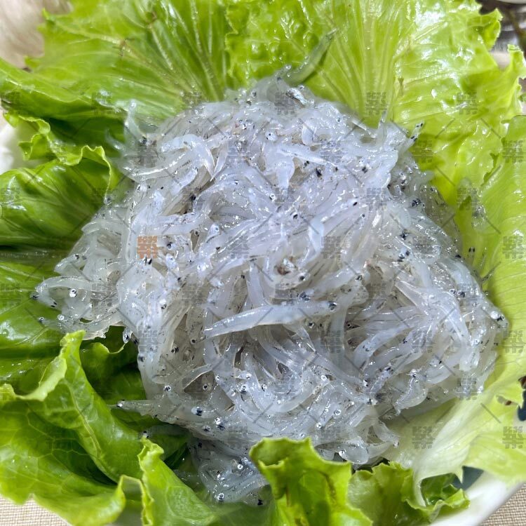 台灣宜蘭生凍吻仔魚