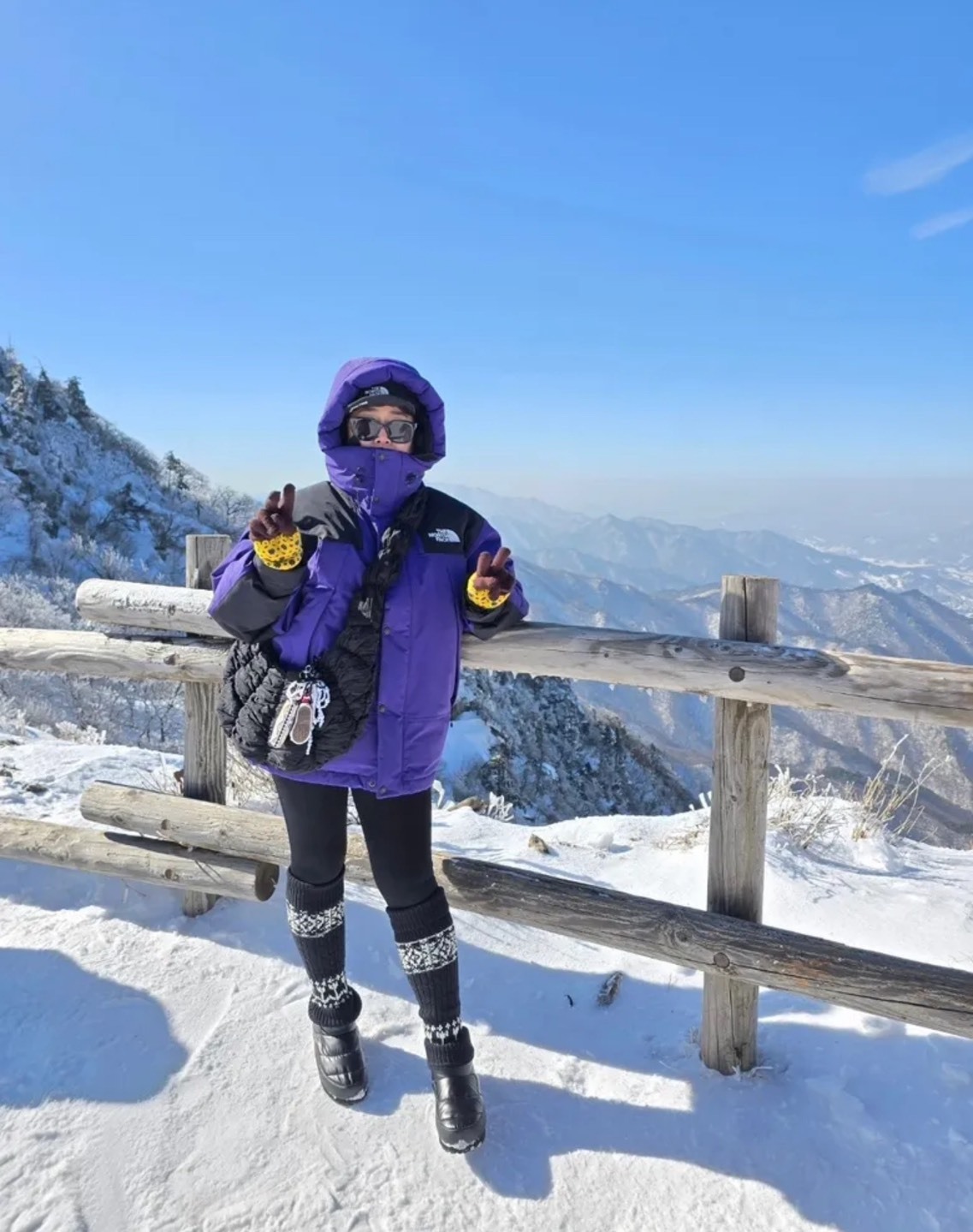 【OWN】The North Face 羽絨外套 雪地等級 GoreTex Dryvent 防風 防水 防雪 防寒 保暖 連帽 羽絨大外套 RDS 鵝絨 不分男女 卡其 白色 紫色 粉色 NJ1DQ04A NJ1DQ04C NJ1DQ04D NJ1DQ04E