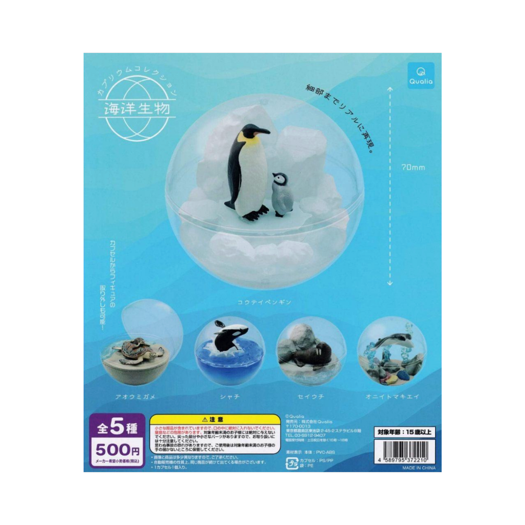 [售完為止] ※日本 Caprium Collection 海洋生物 扭蛋