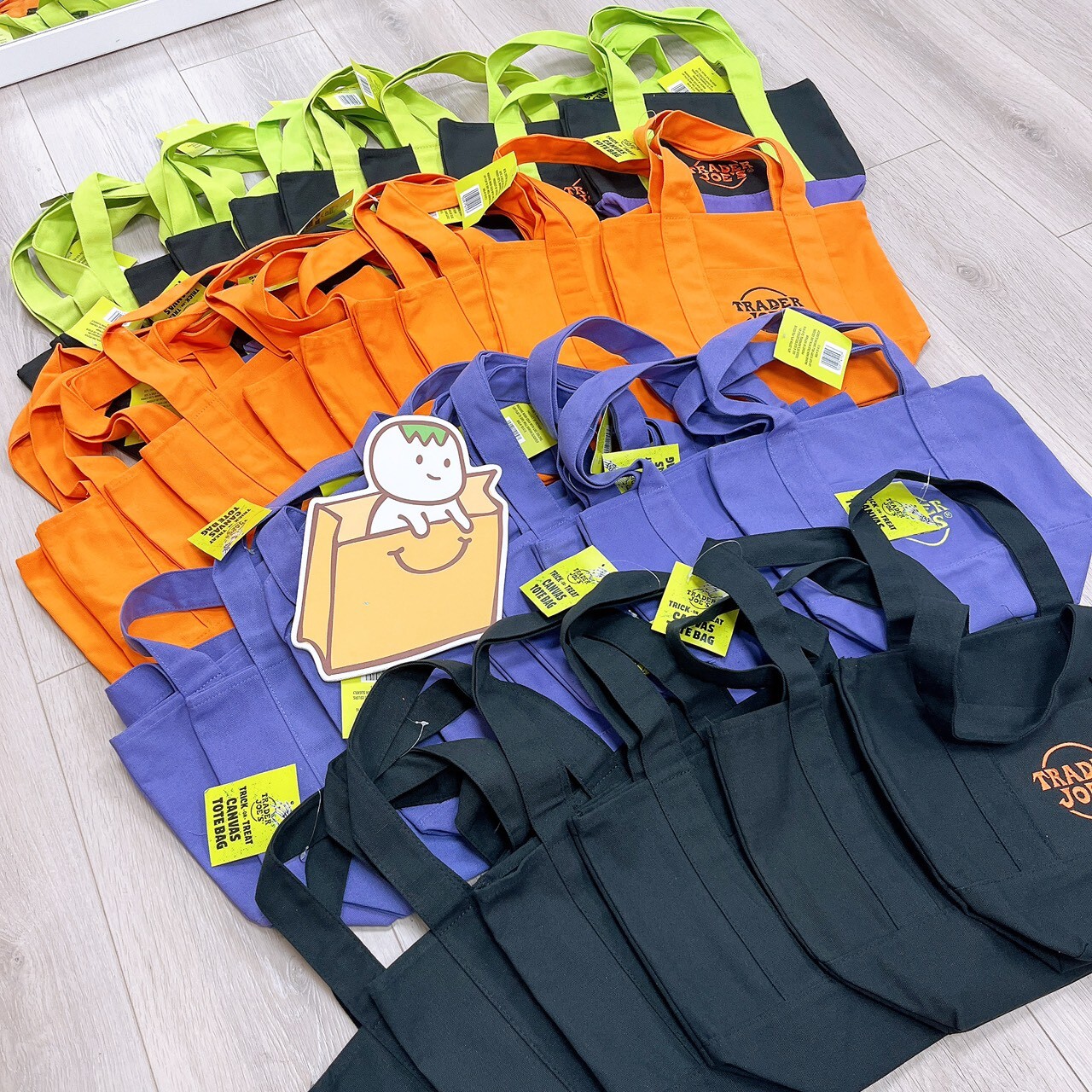 TJ small canvas tote