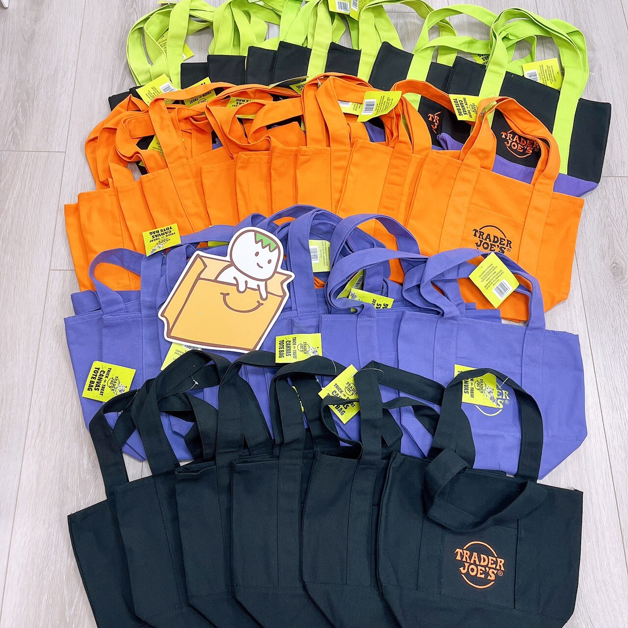 TJ small canvas tote