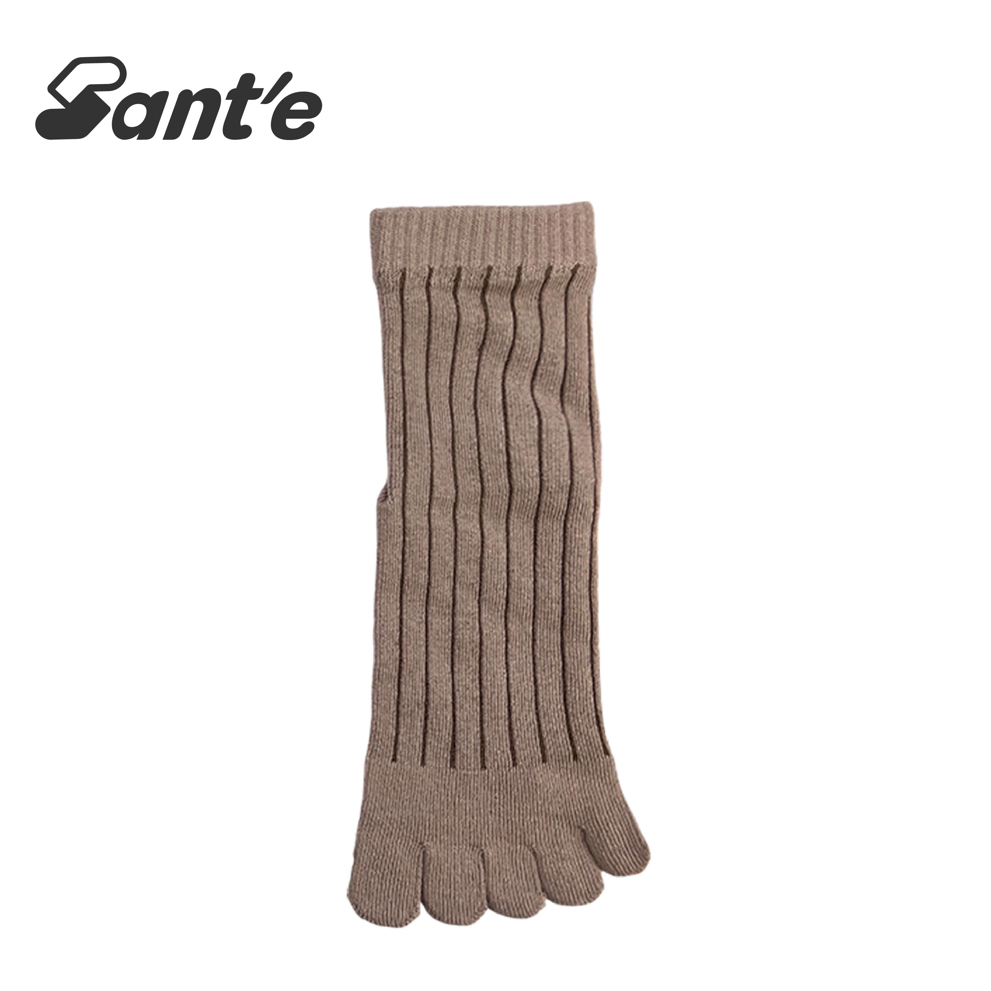 Santé 台灣 豎條紋五趾襪 男款 (5色) 44SA3002