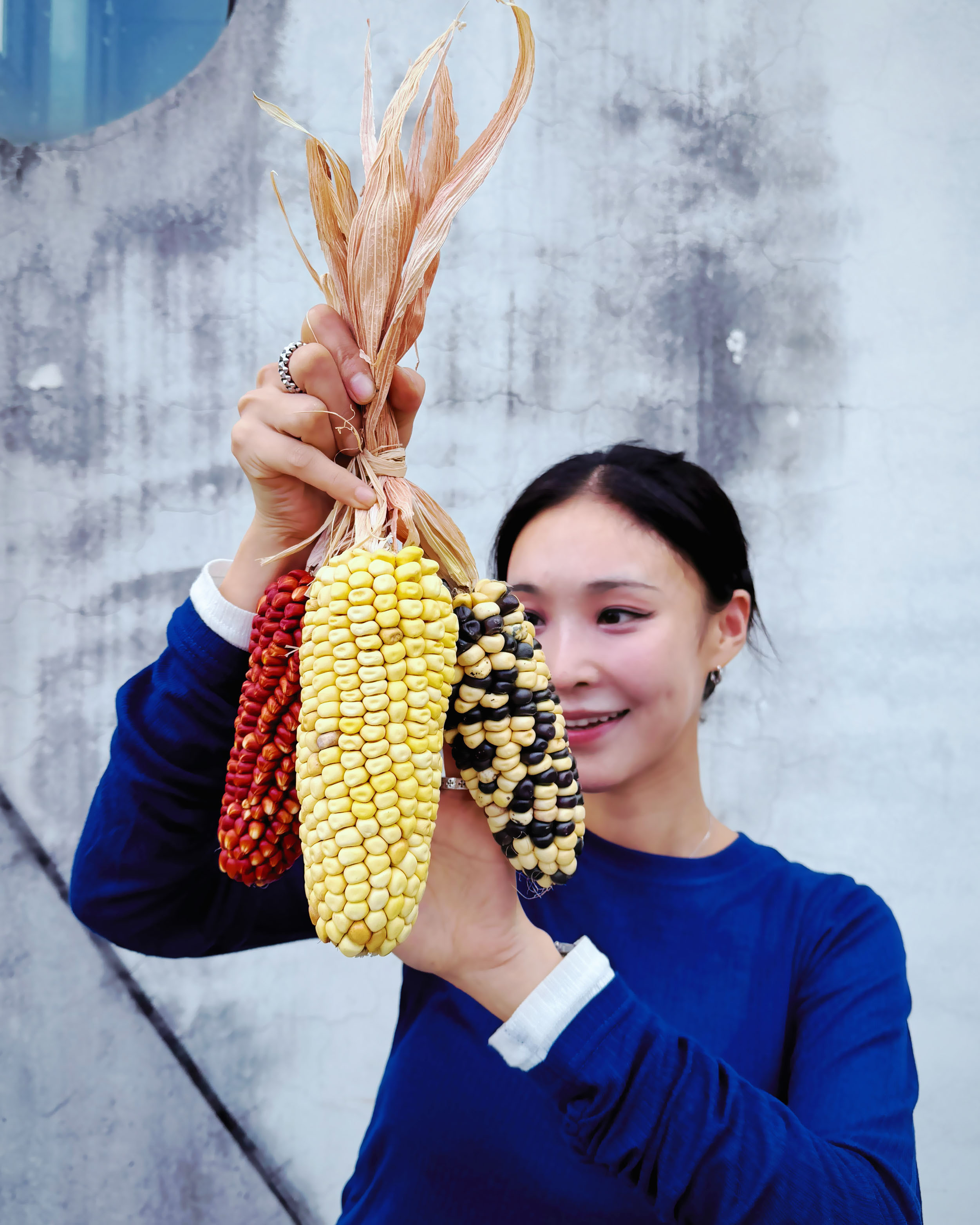 乾燥玉米（印地安）