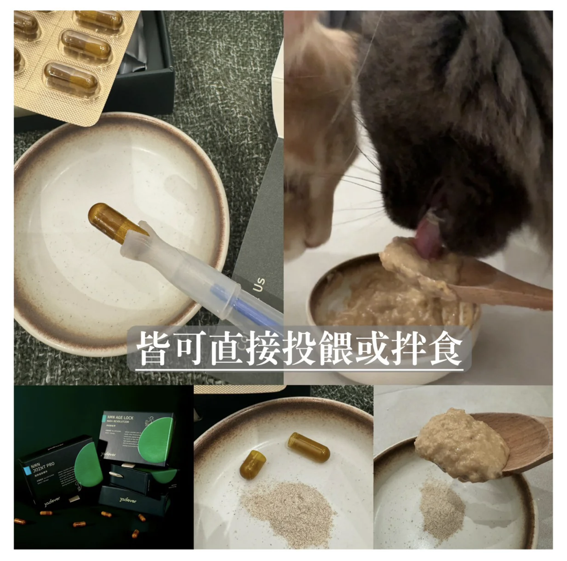 Jadever 璽玥生醫｜NMN命研鉑金萃 NAD+活力配方｜一盒30粒