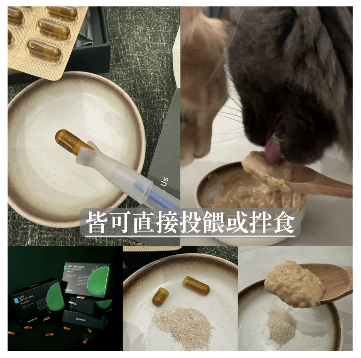 Jadever 璽玥生醫｜NMN命研鉑金萃 NAD⁺犬貓關節配方｜一盒30粒