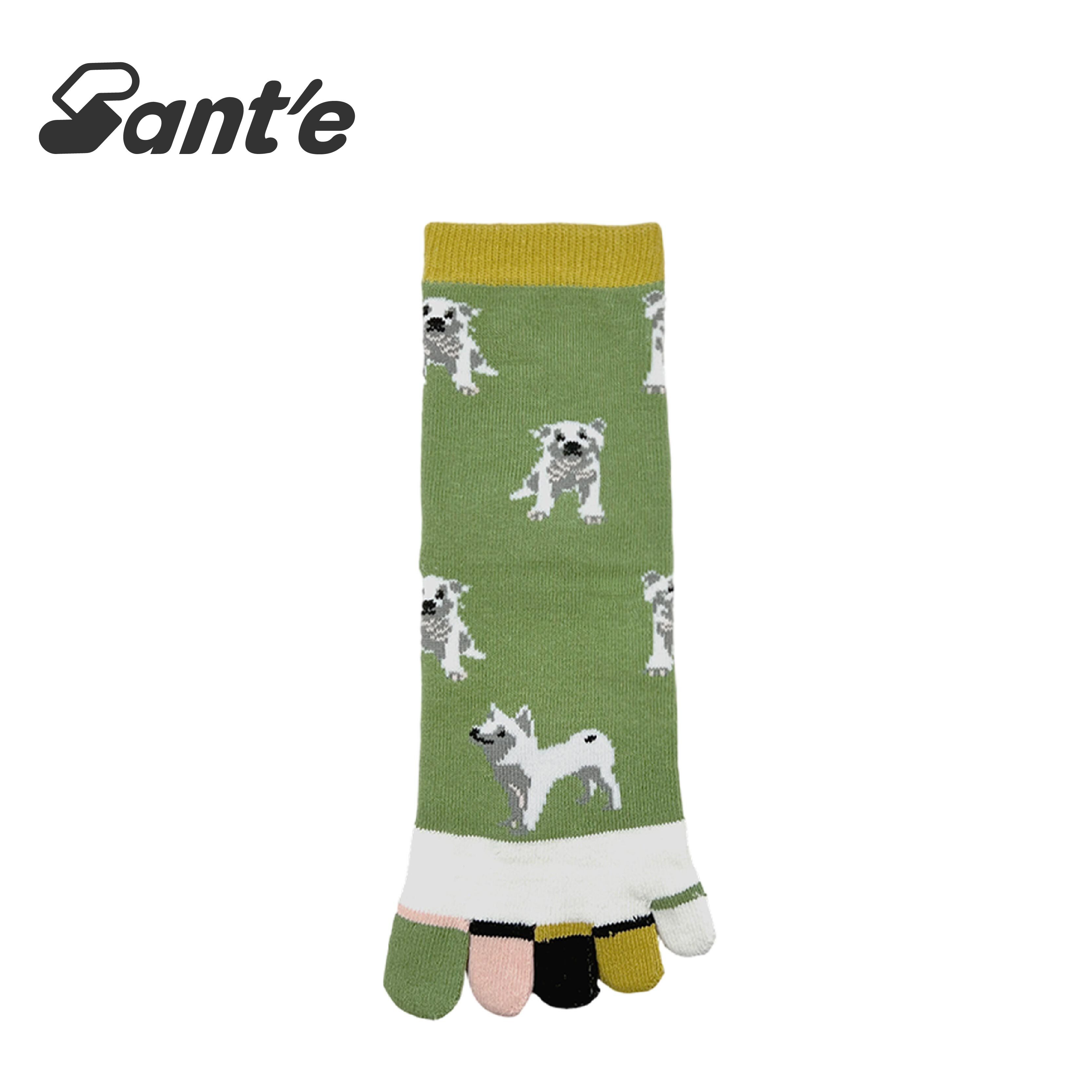 Santé 台灣 彩趾小狗五趾襪 女款 (3色) 44SA3005