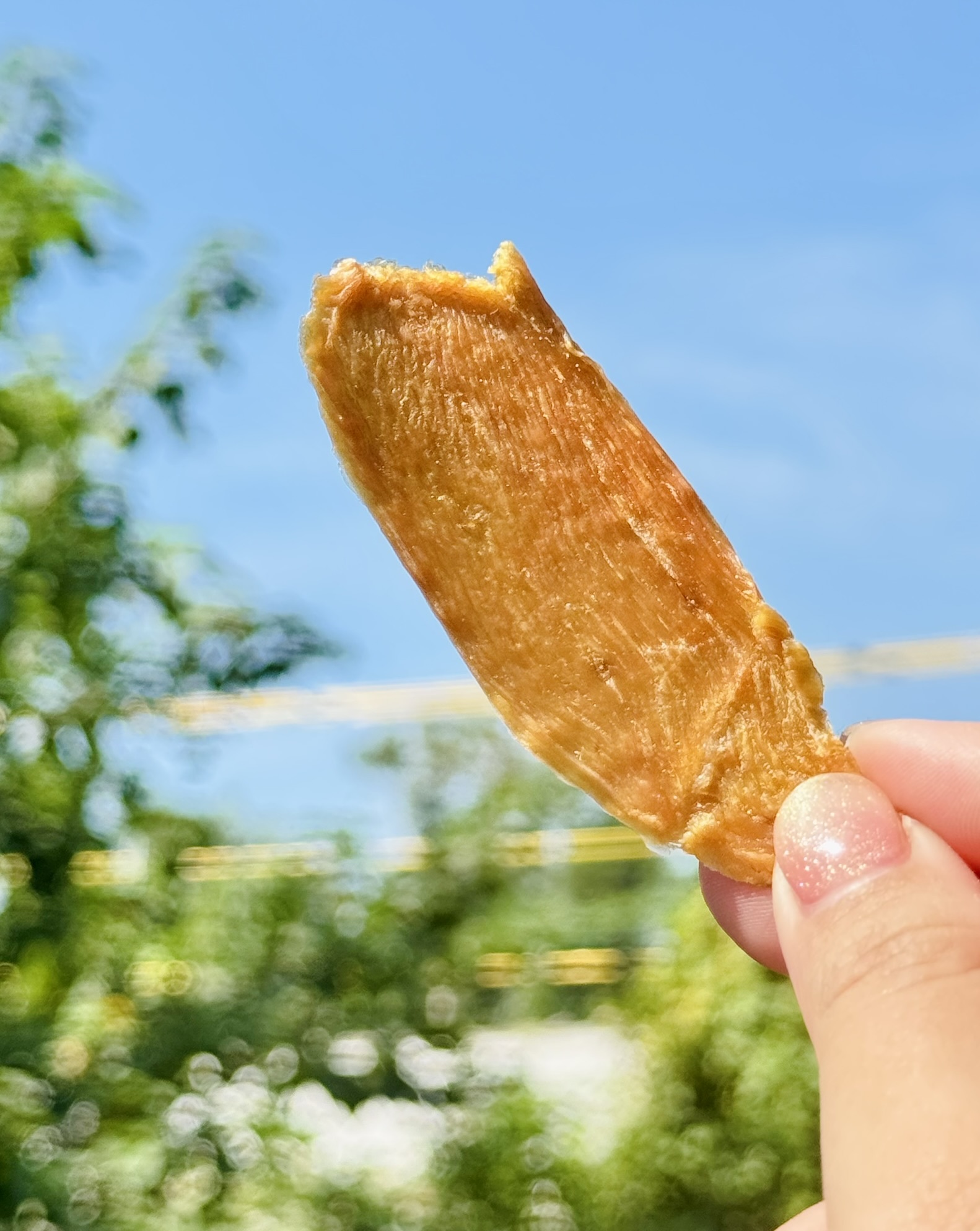 超人氣🌟主人會搶零食🌟香酥雞肉乾🌟新鮮原肉｜兩道低溫烘烤｜健康美味｜人寵皆宜