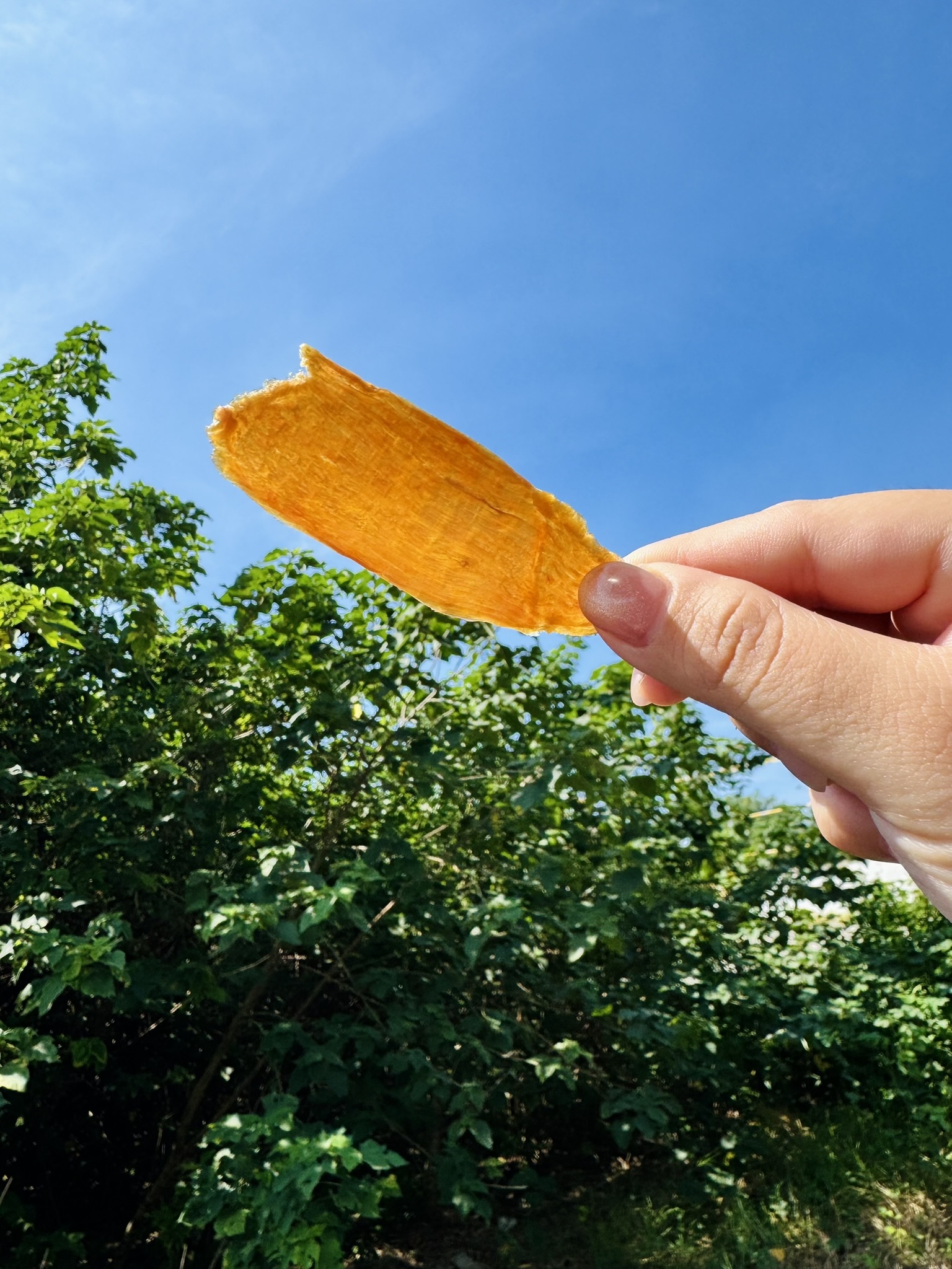 超人氣🌟主人會搶零食🌟香酥雞肉乾🌟新鮮原肉｜兩道低溫烘烤｜健康美味｜人寵皆宜