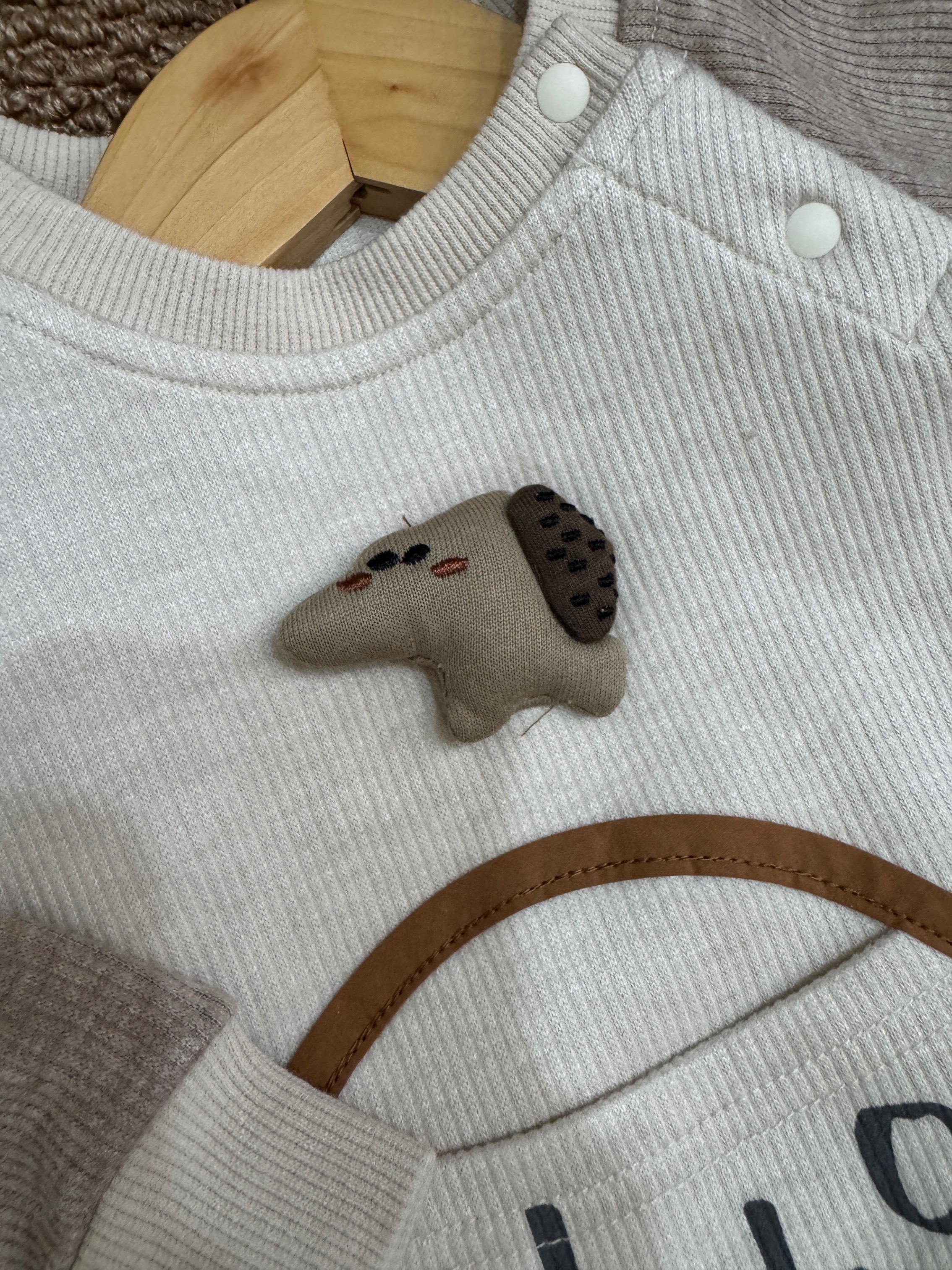 3509品牌童裝狗狗坑紋套裝d39