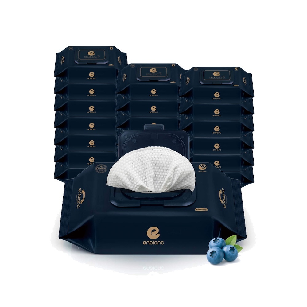 ENBLANC 銀離子抗菌｜極厚藍莓｜有蓋大包純水濕紙巾｜70抽20包