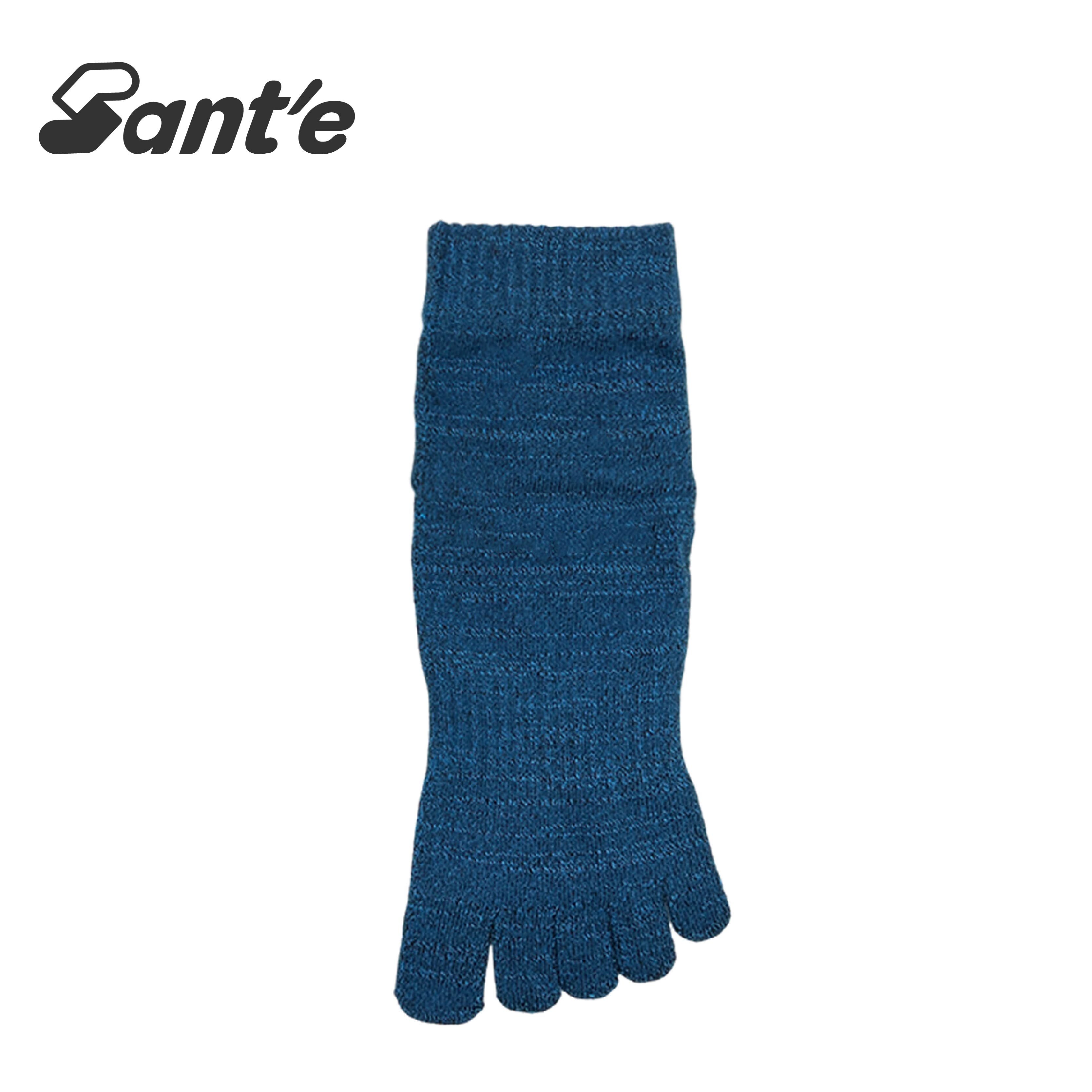 Santé 台灣 素面加壓五趾襪 男款 (4色) 44SA3011