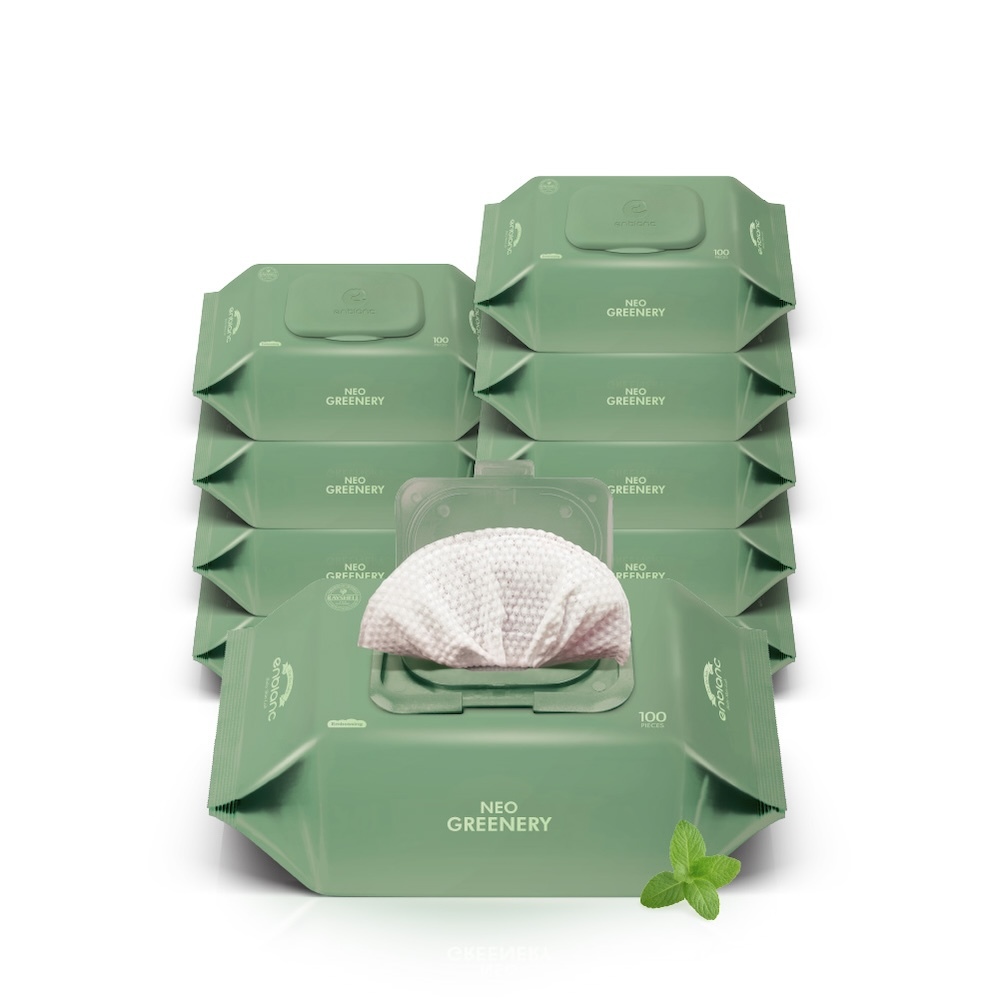 ENBLANC NEO GREENERY｜輕柔薄荷｜有蓋純水濕紙巾｜100抽10包
