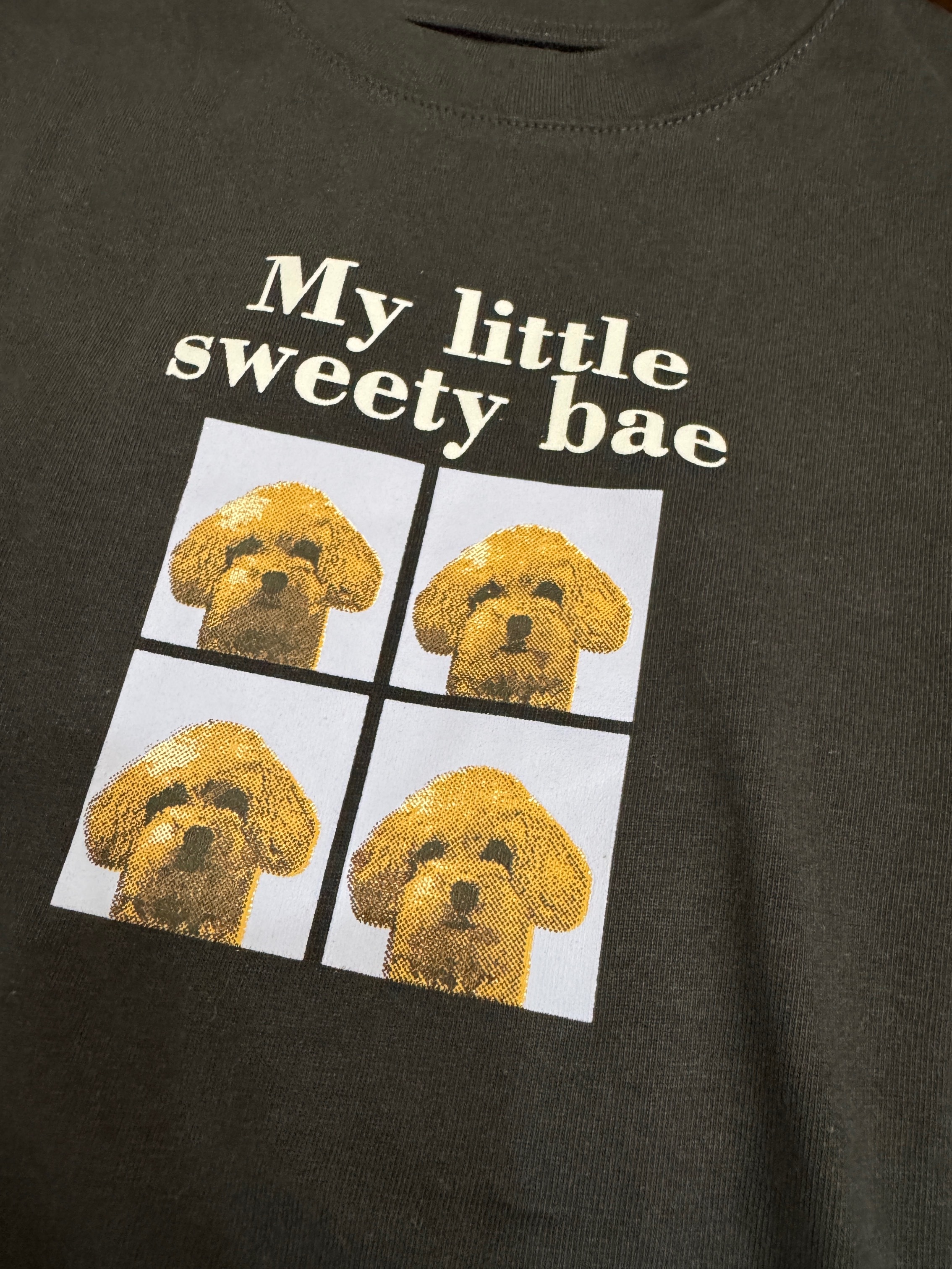 M25228四格照片狗狗上衣d23