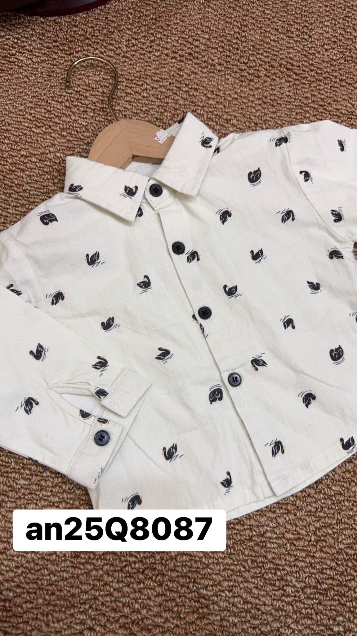 AN25Q8087天鵝磨毛襯衫d40