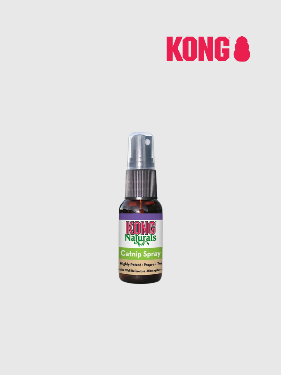 【KONG】激情貓草噴霧