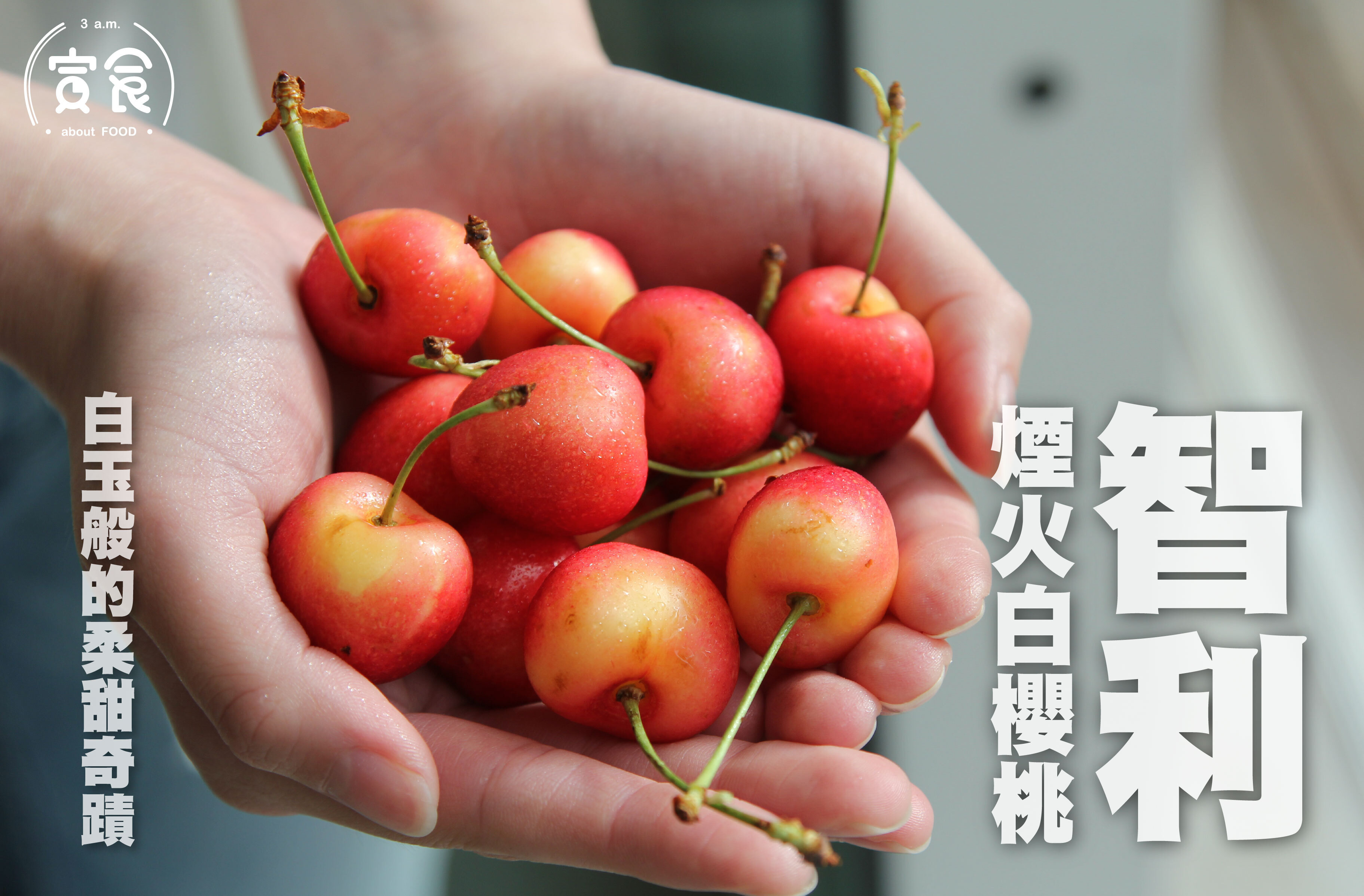 【全台首批✈️】智利空運煙火白櫻桃