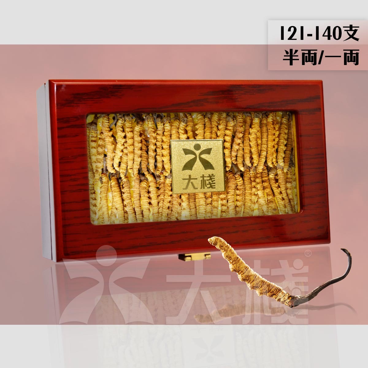 西藏冬蟲夏草 121-140 支 (別稱 冬蟲草，蟲草，藏草)