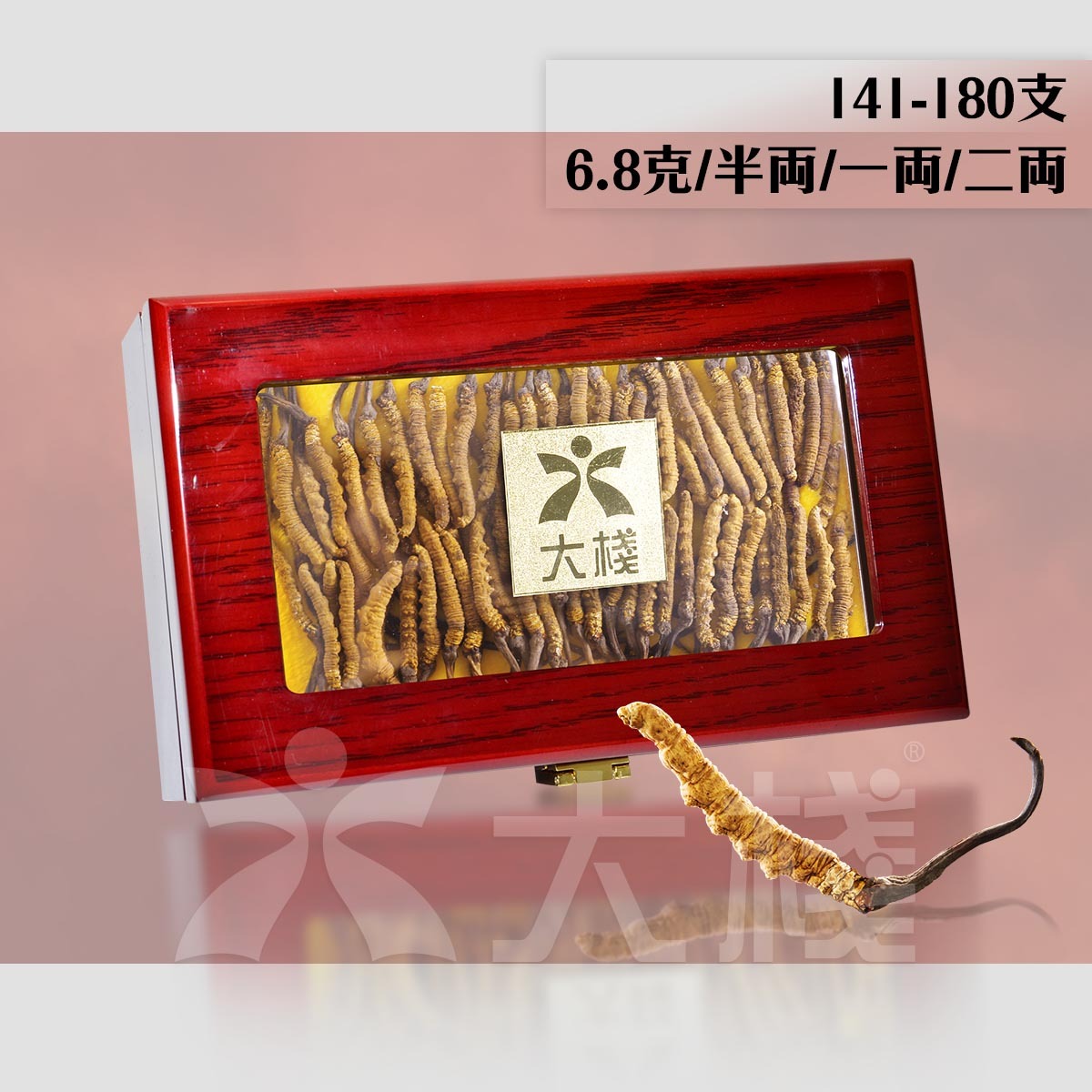 西藏冬蟲夏草 141-180 支(別稱 冬蟲草，蟲草，藏草) (不設退換)