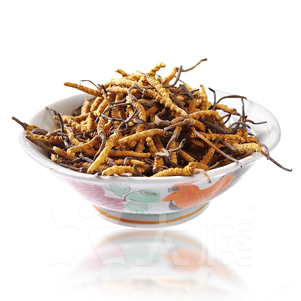 西藏冬蟲夏草 141-180 支(別稱 冬蟲草，蟲草，藏草) (不設退換)