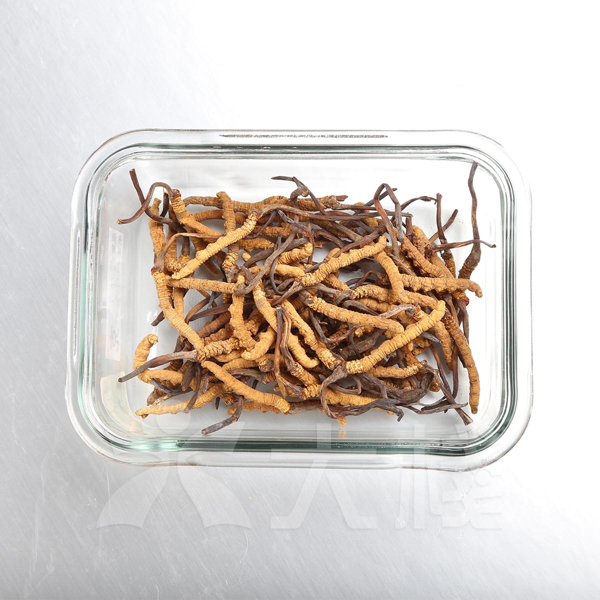 西藏冬蟲夏草 - 80小原條 (約15克) (別稱 冬蟲草，蟲草，藏草) (不設退換)