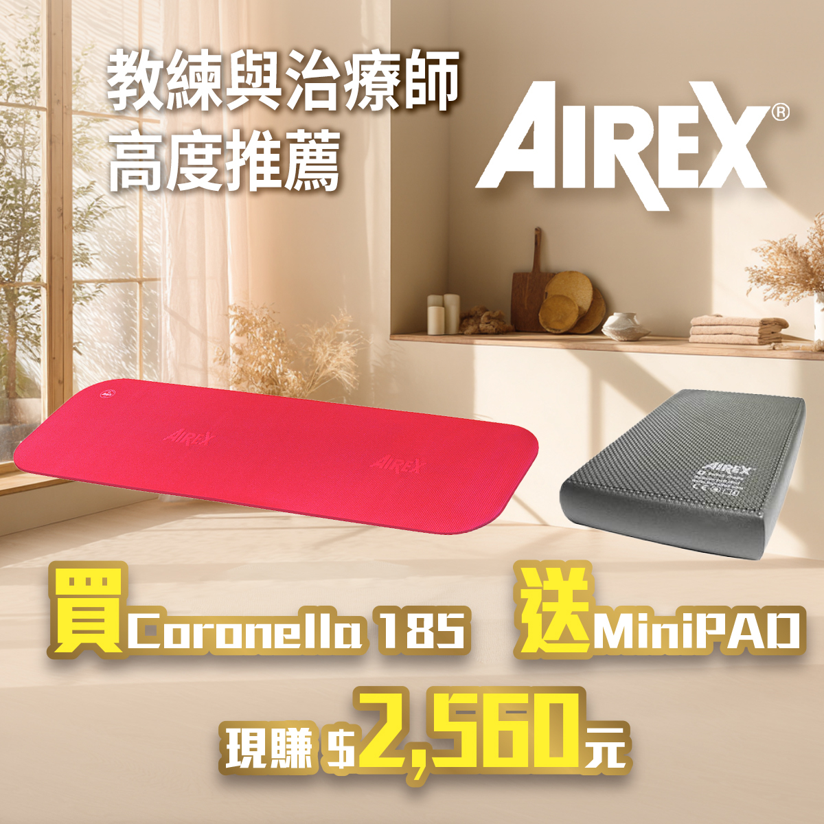 AIREX Coronella185 運動墊 送 Mini pad