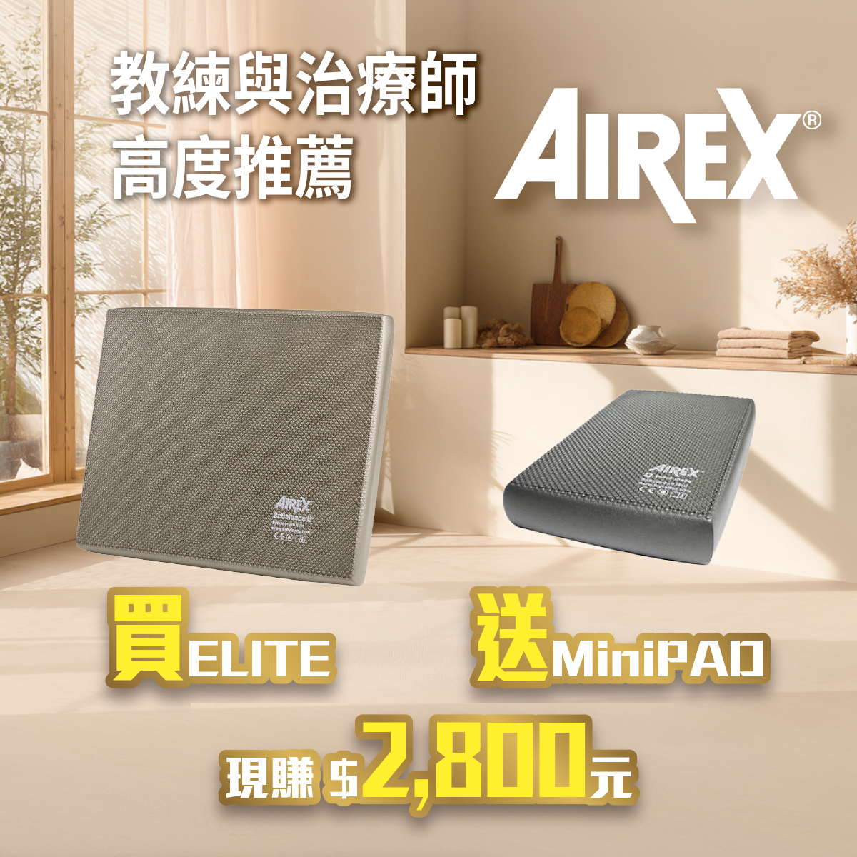 AIREX Balance Pad Elite  平衡墊 送 MINI PAD