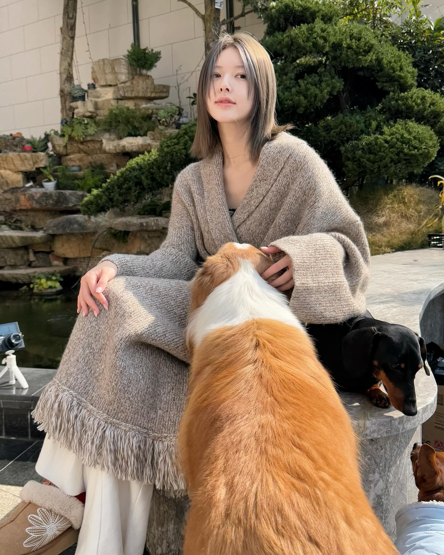 【現貨】Mardi Mercredi 雛菊 懶人拖 經典款 Classique Slipper 穆勒 毛絨 拖鞋 趙露思同款 多款可選