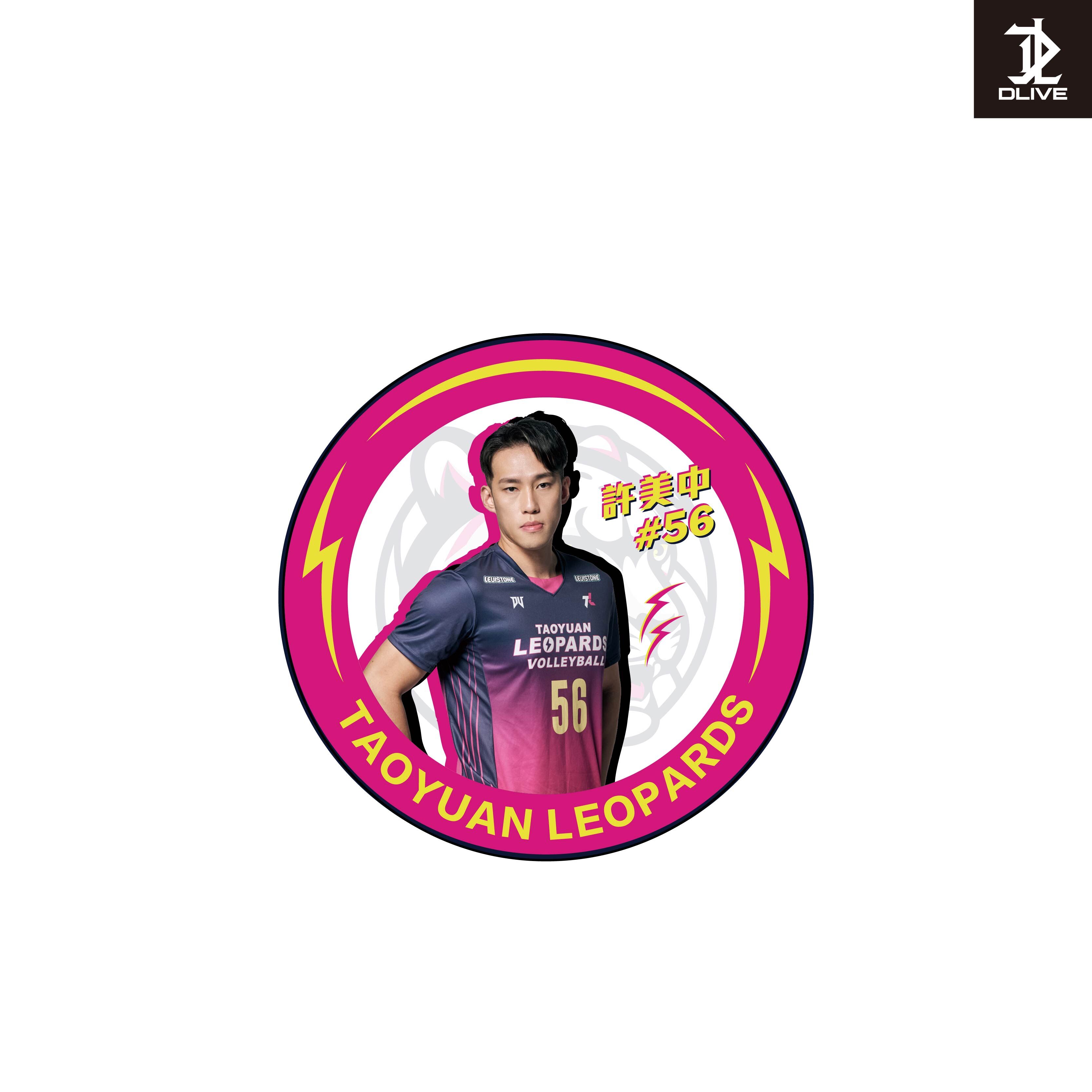 【DLIVE x 雲豹職排】球員抱枕_30cm