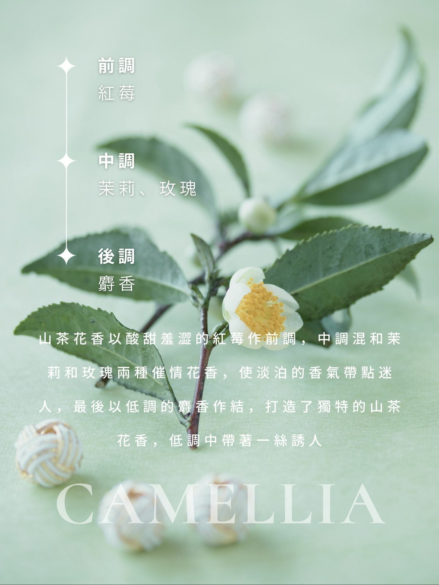 APS 費洛蒙香水 山茶花 Camellia