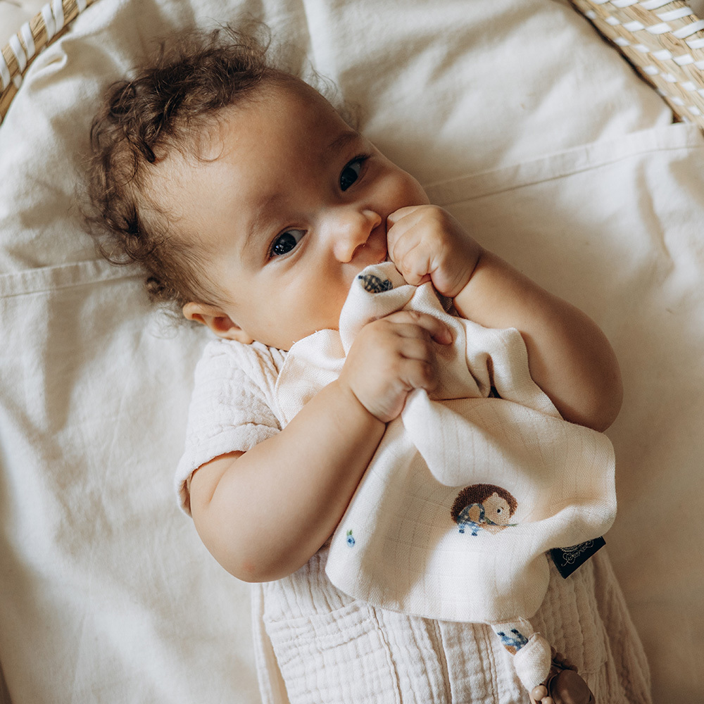 【原售價$799】La Millou波蘭 100%竹纖銀離子紗布巾玩偶奶嘴帶｜藍莓小刺蝟