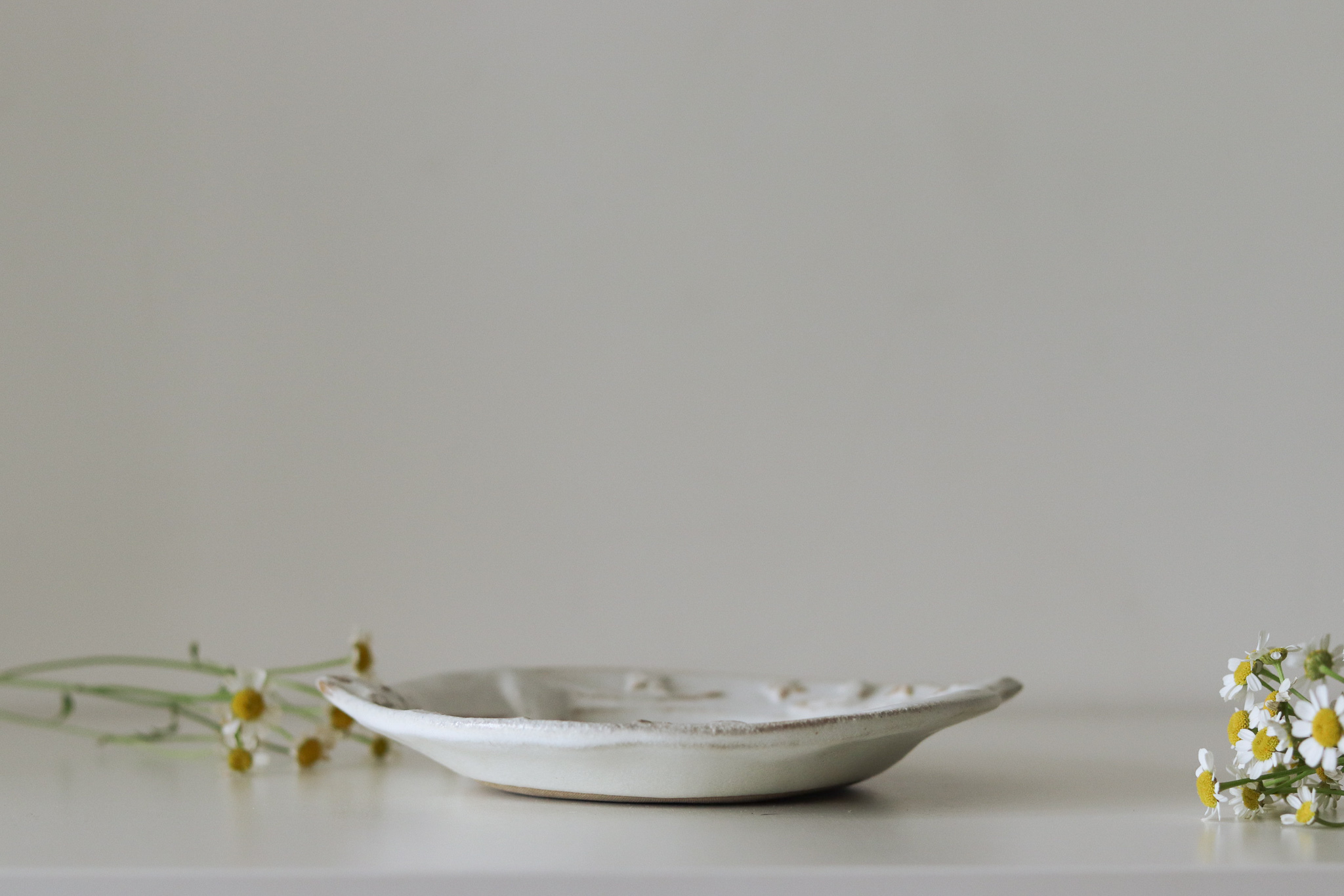 Mashiko Yaki 益子燒 若林健吾 宮沢賢治童話系列 貓咪浮雕 圓盤 取皿