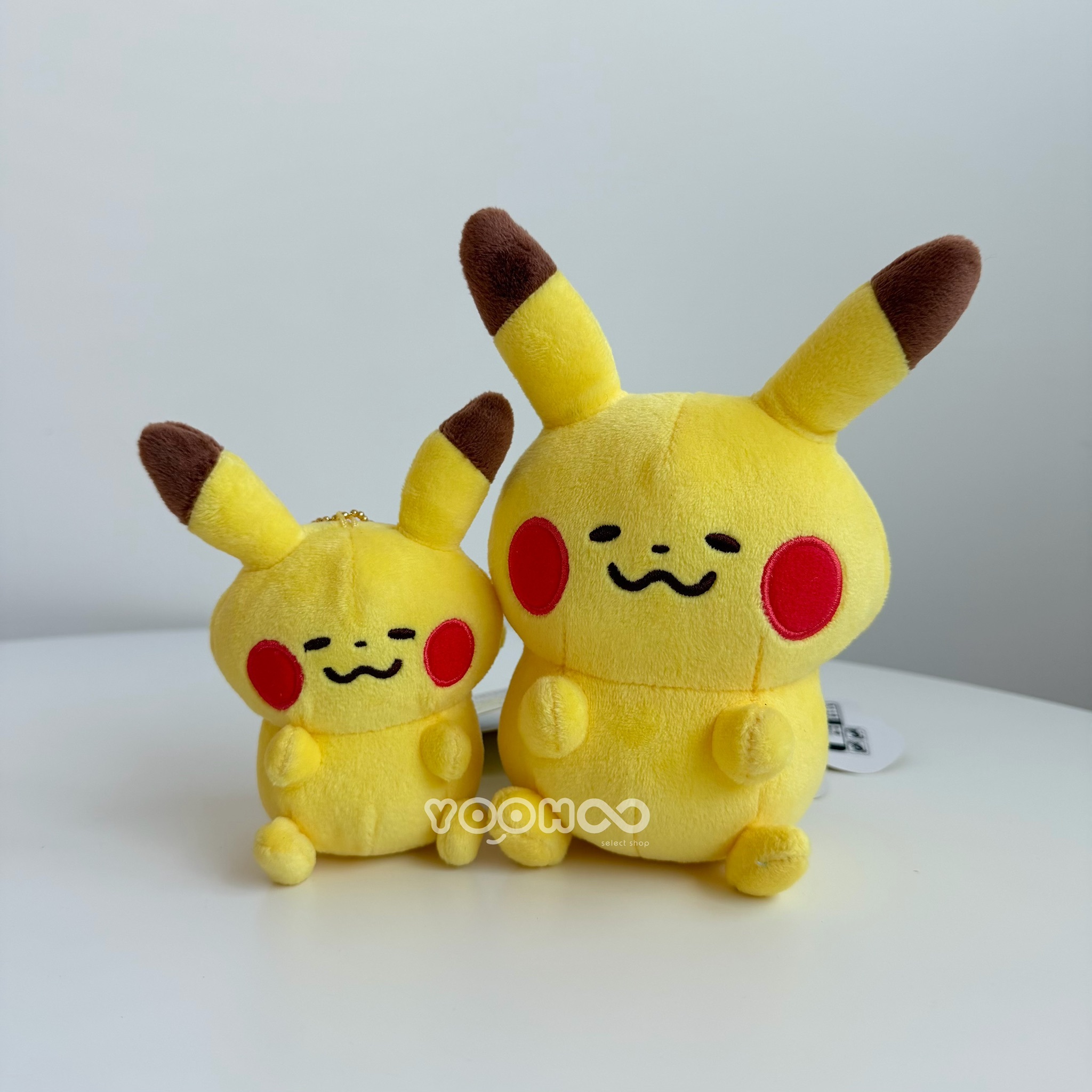 現貨┃日本限定 POKEMON 卡娜赫拉 寶可夢 聯名款 皮卡丘 吊飾 娃娃