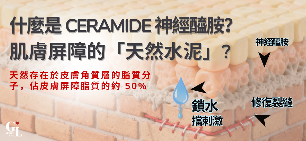 什麼是 Ceramide 神經醯胺？