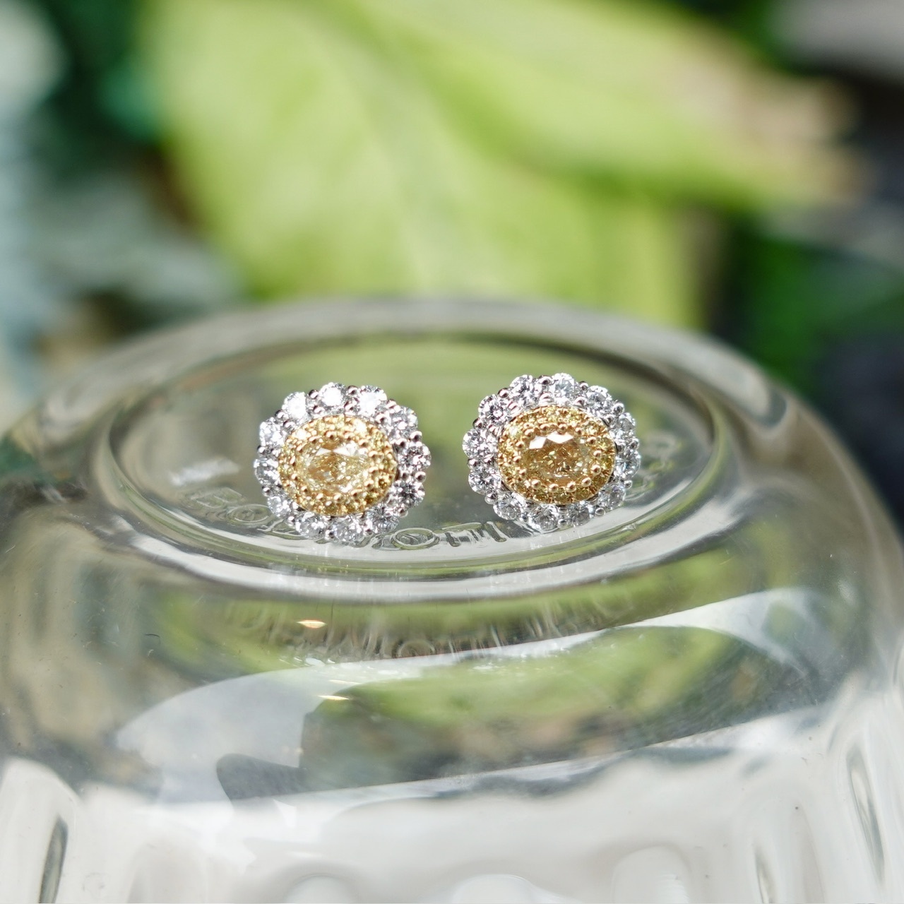 18K金天然彩黃鑽耳釘 -橢圓形切割