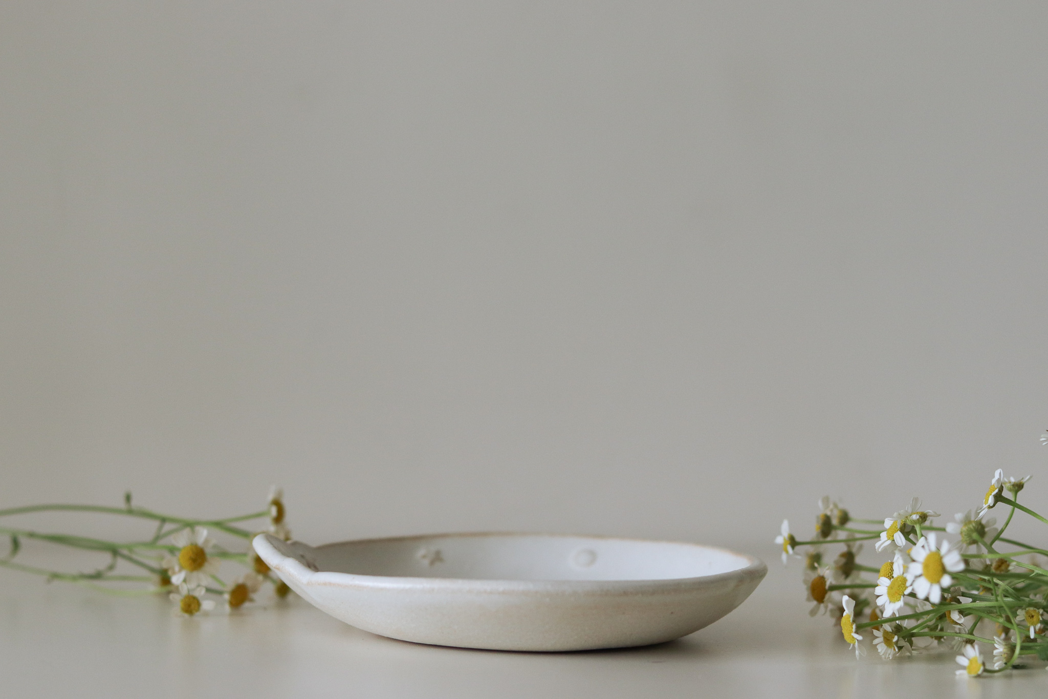 Mashiko Yaki 益子燒 若林健吾 馬戲團派對 大象 甜點盤 圓盤